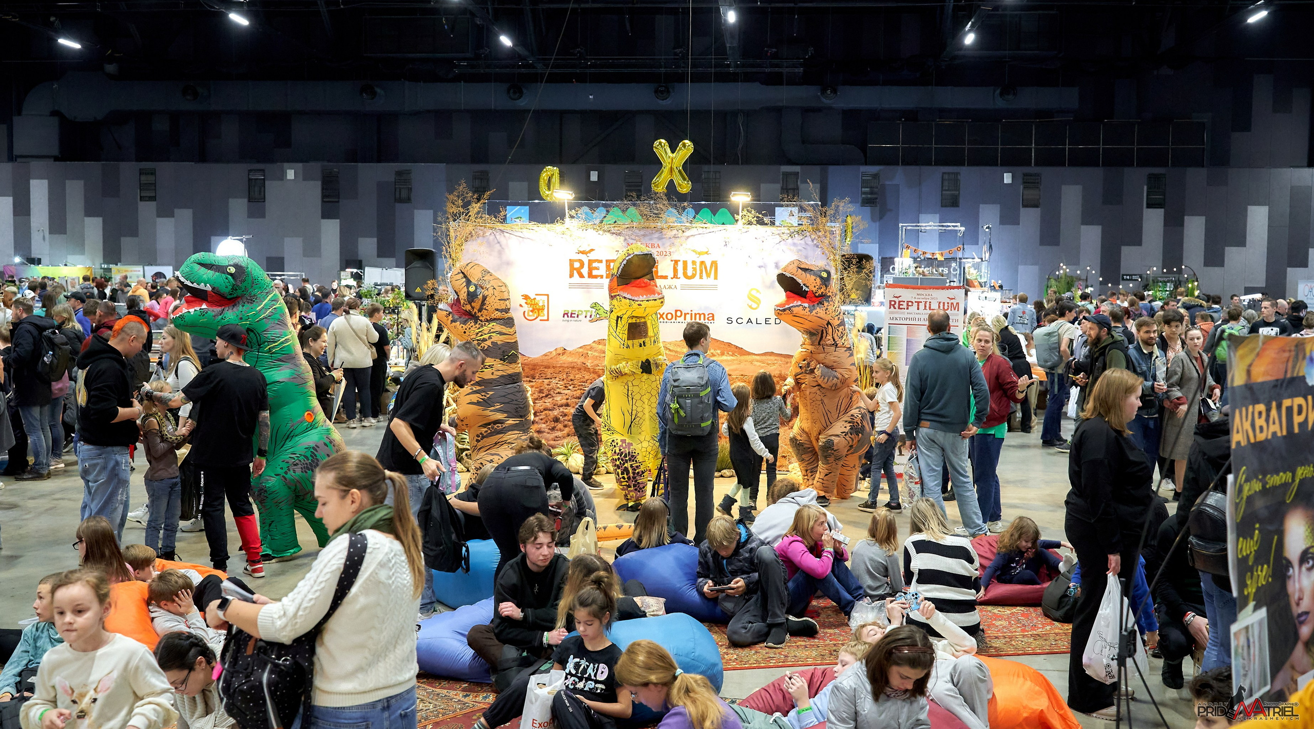 Выставки животных — галерея NATRIEL