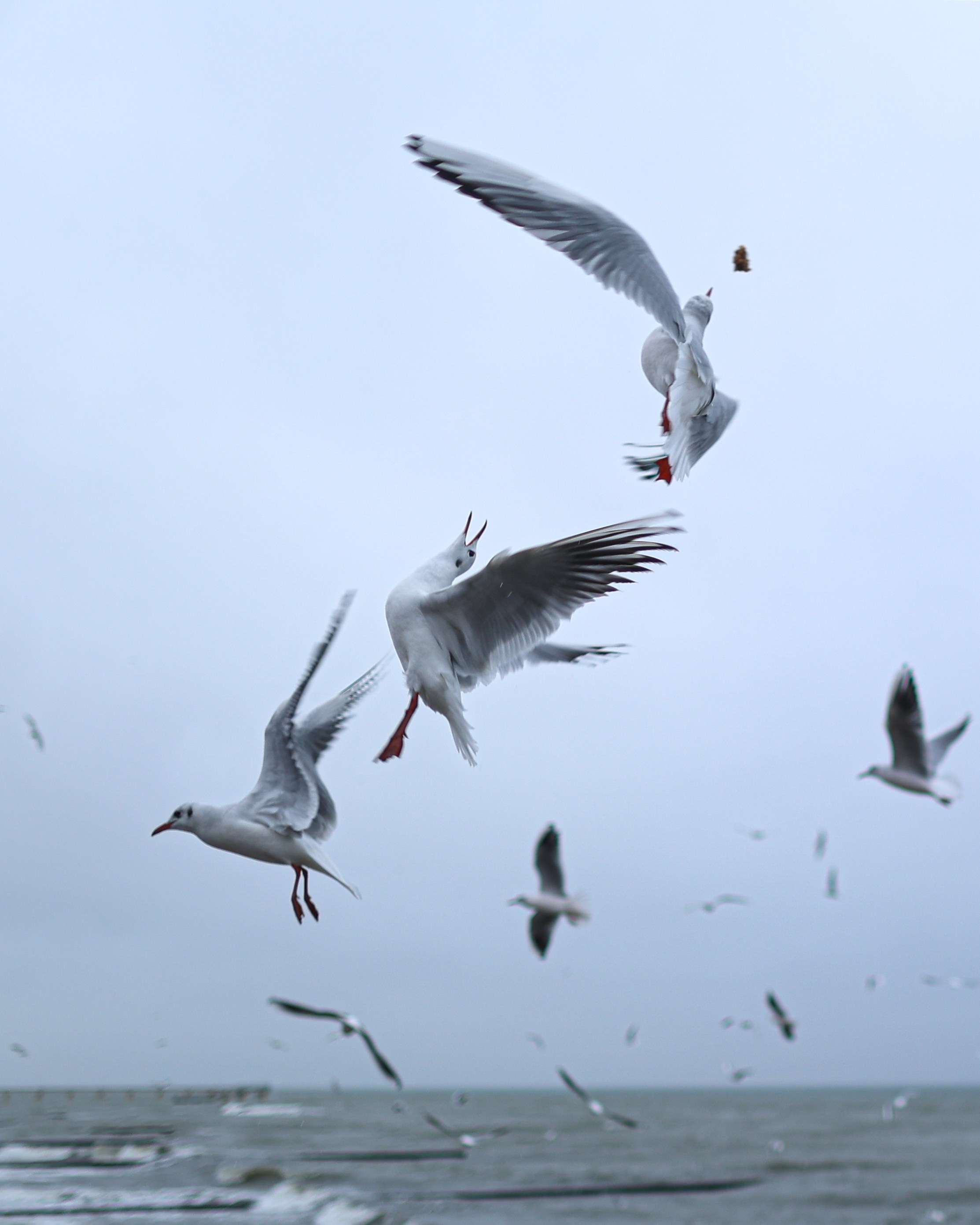 ПЕЙЗАЖ И ЛЮДИ. Саргылана Афанасьева