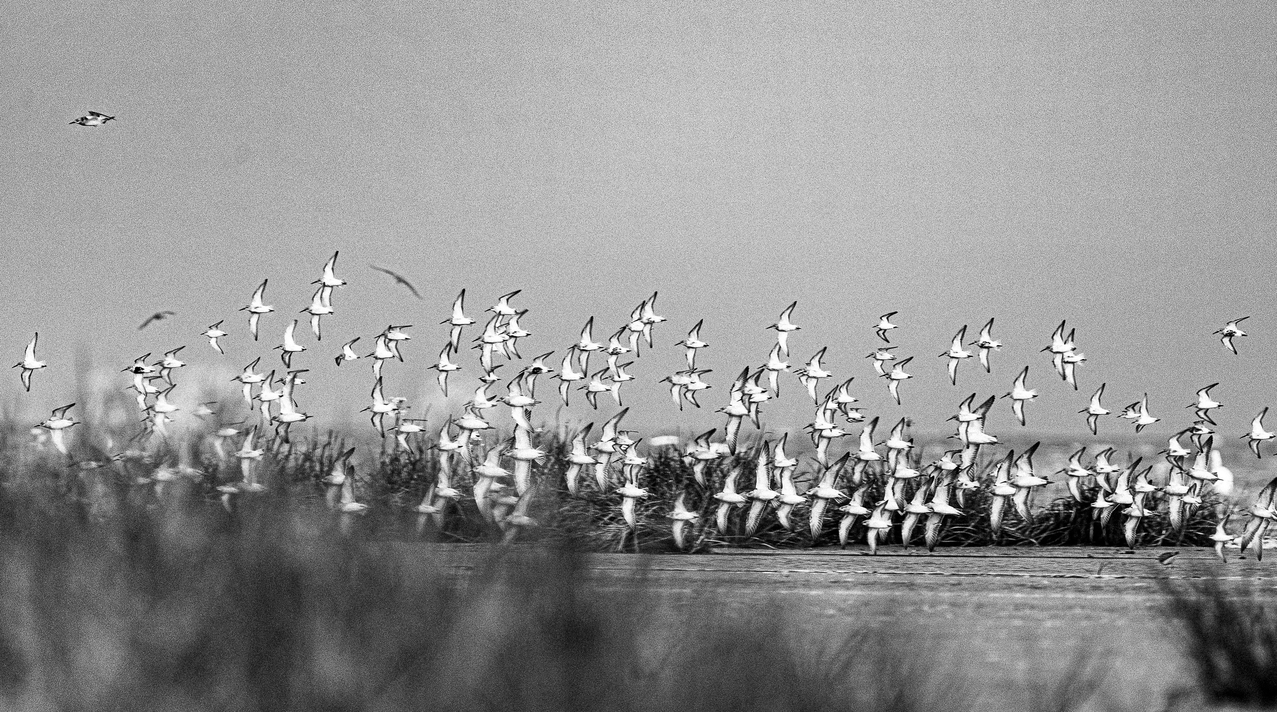 Фотографии Лены Соколовой