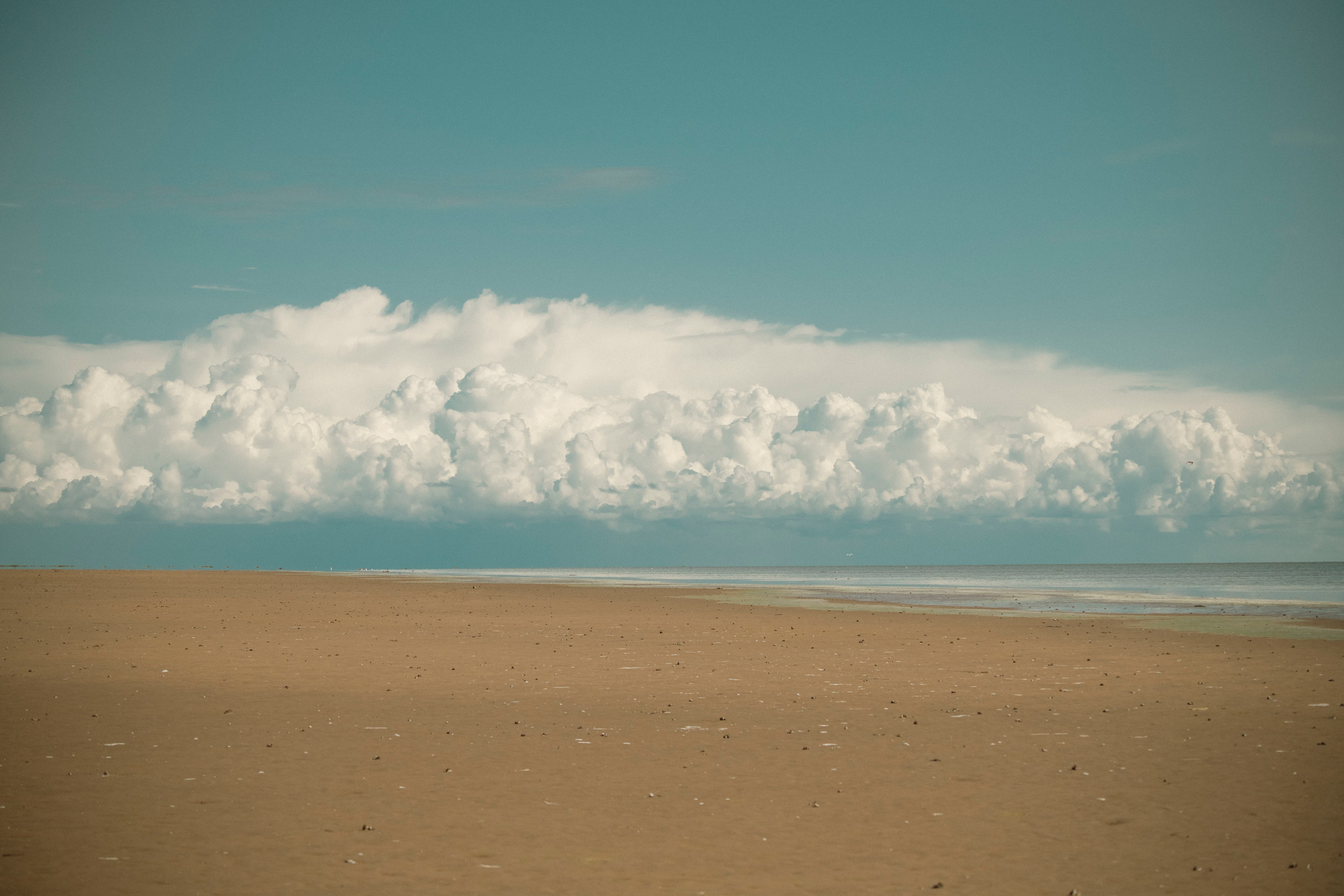 Цветные фотографии. Фотографии Лены Соколовой