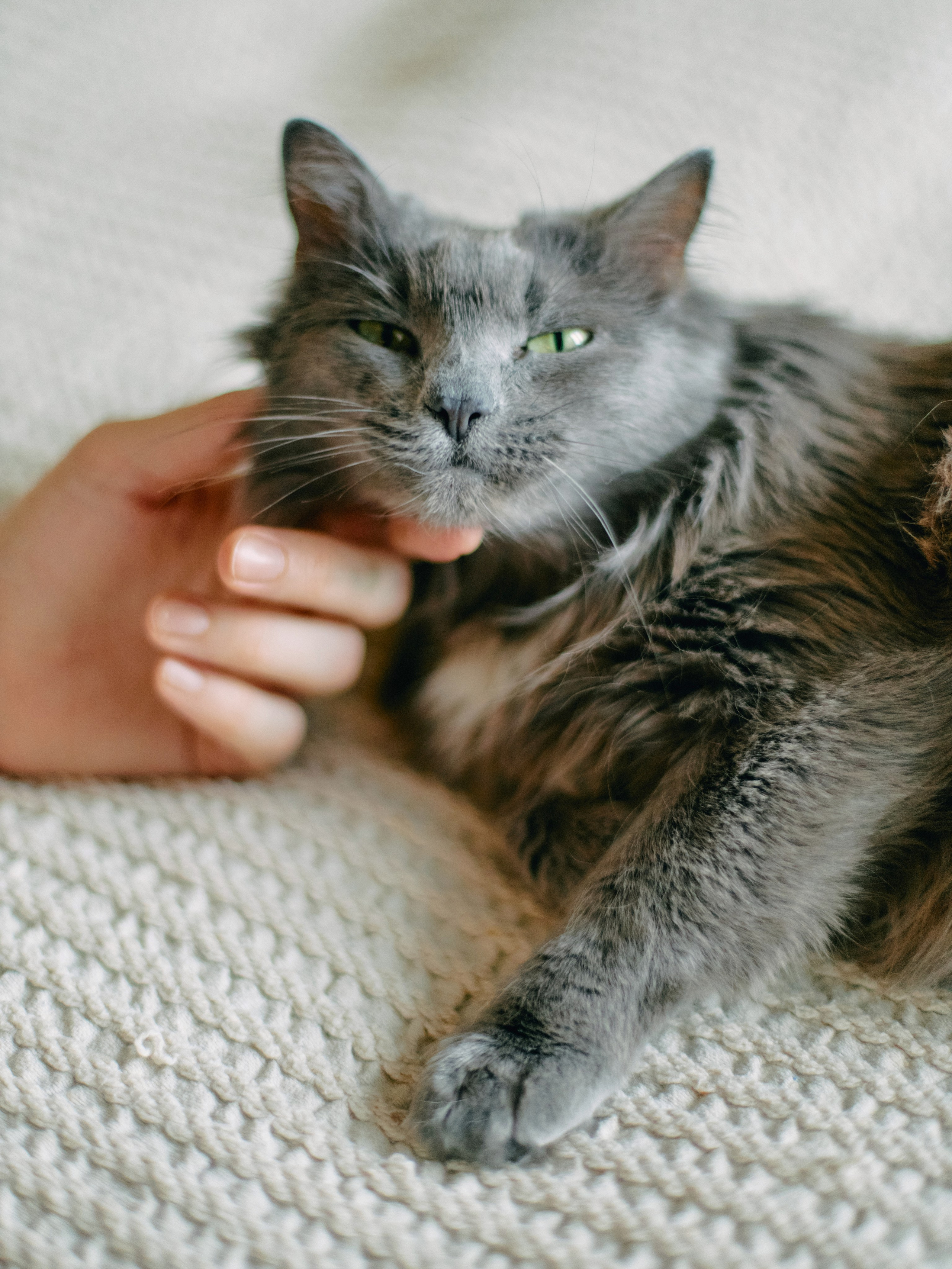 Аленка. Профессиональный Фотограф во Владимире, в Москве и в Суздале — Полина Романычева