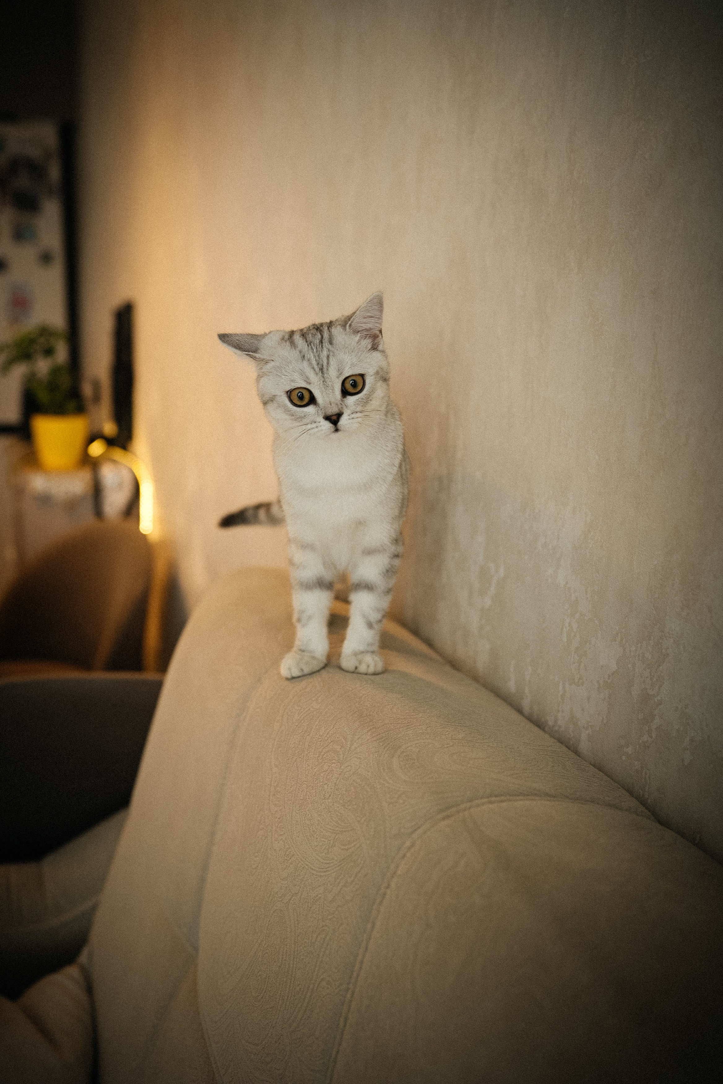 Семья Ксении и Максима. Фотограф | Юлия Арт| Обучение