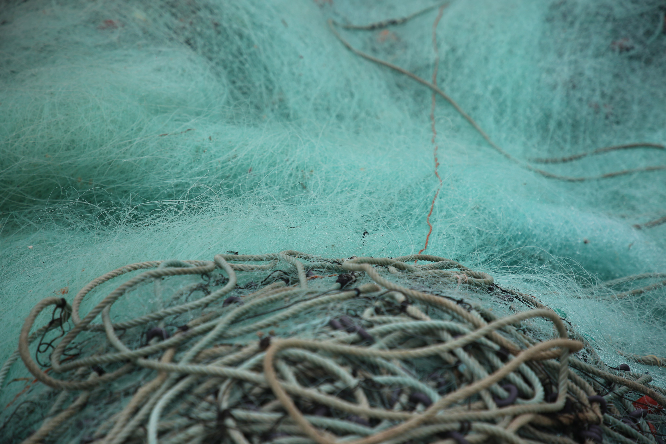 Esmoriz, Portugal. Andrey Filippov Photographer