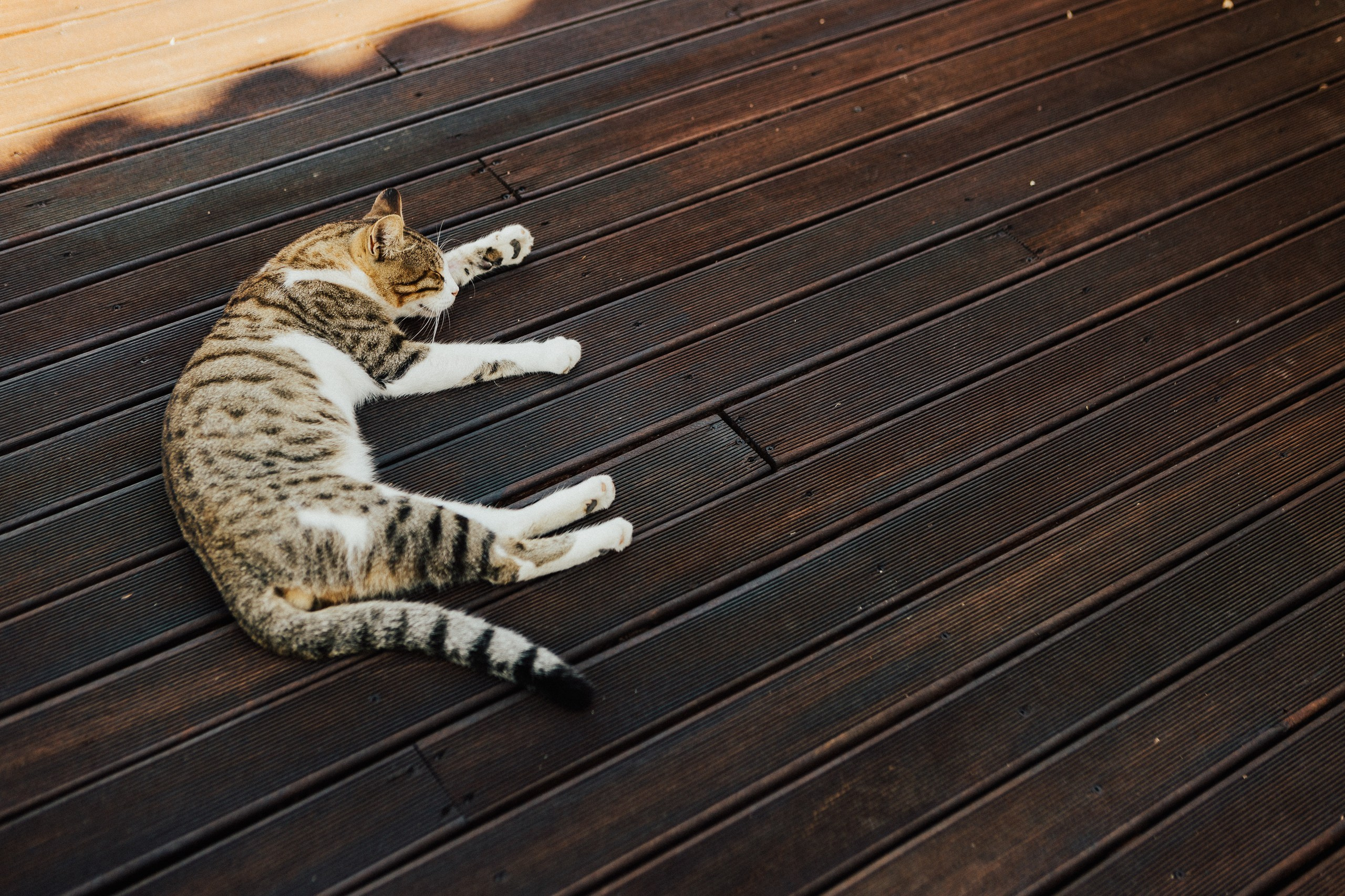 L&A. Фотограф в Батуми Павел Шарников