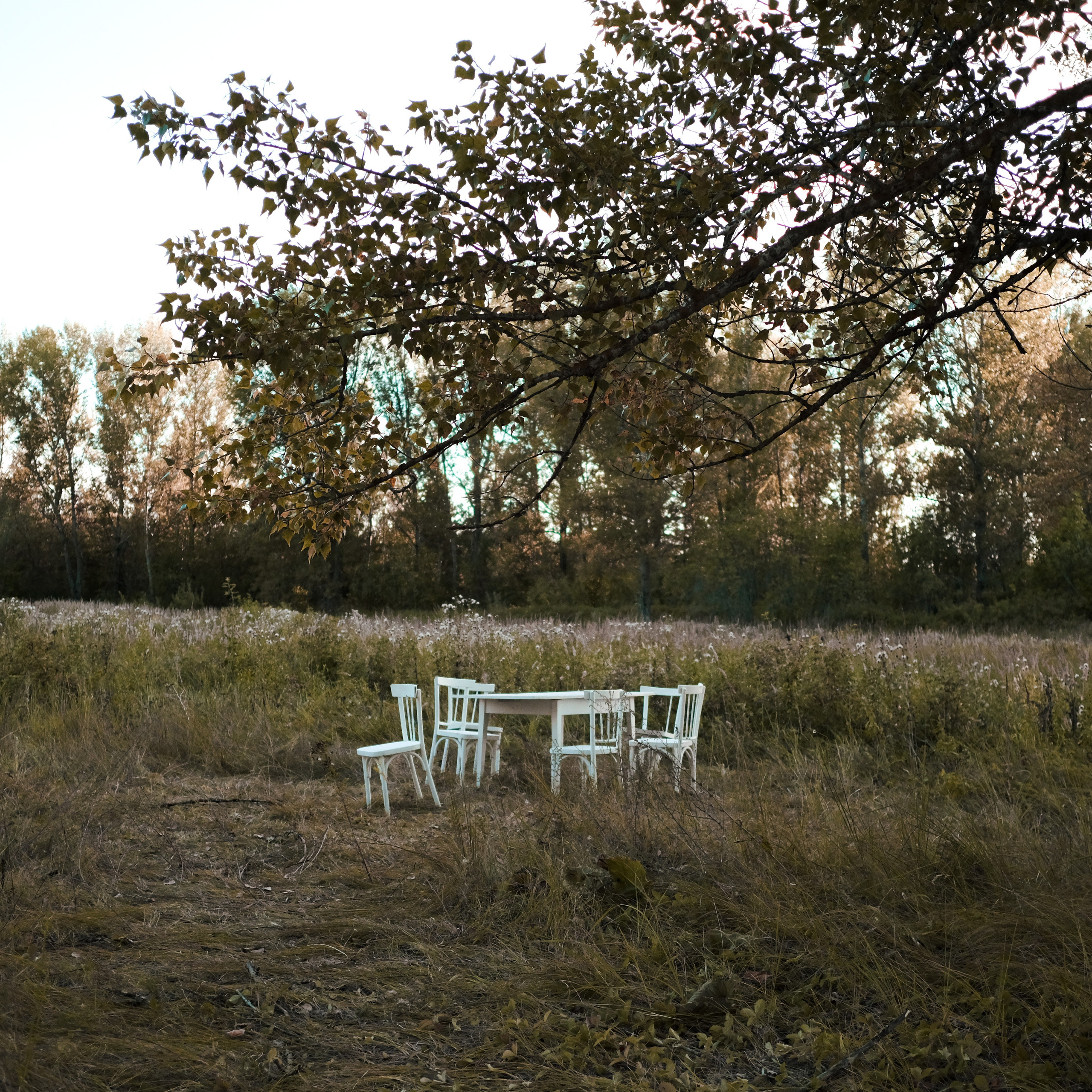 Эко-фестиваль АртЛуга 2022. LIYALEE PHOTO