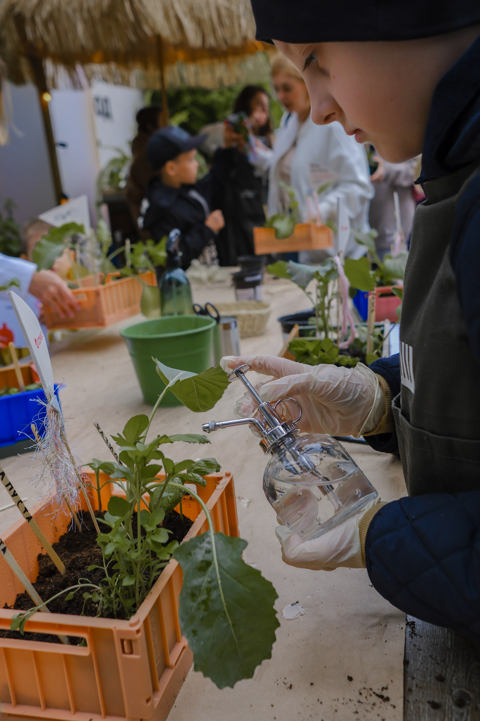 VeterFest 2023. Фотограф в Москве (готова приехать к вам в город)
