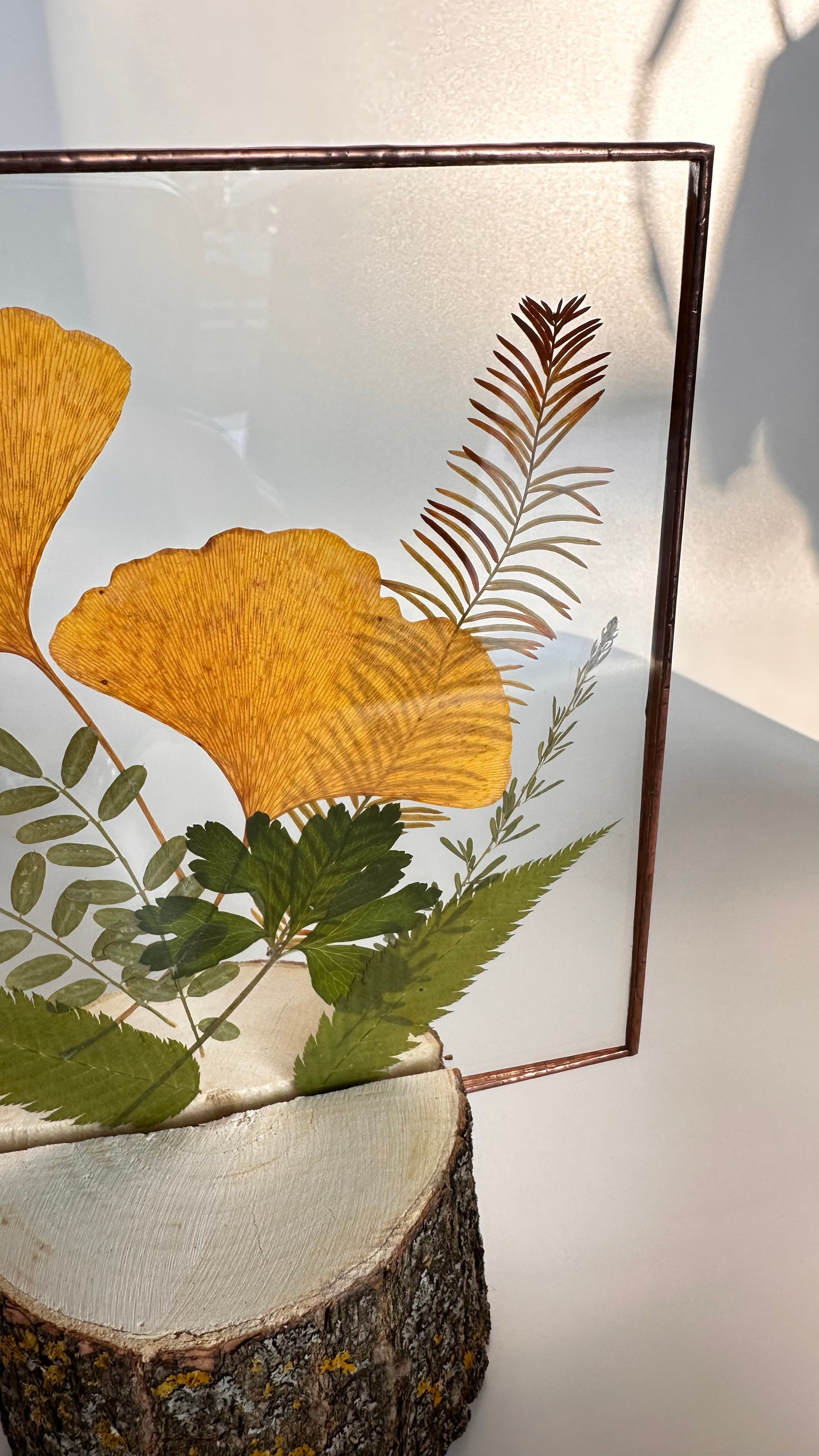 Гербарий в стекле с сухоцветами (витраж в технике тиффани). Гербарий в стекле, интерьерные панно, витражи с сухоцветами в технике тиффани