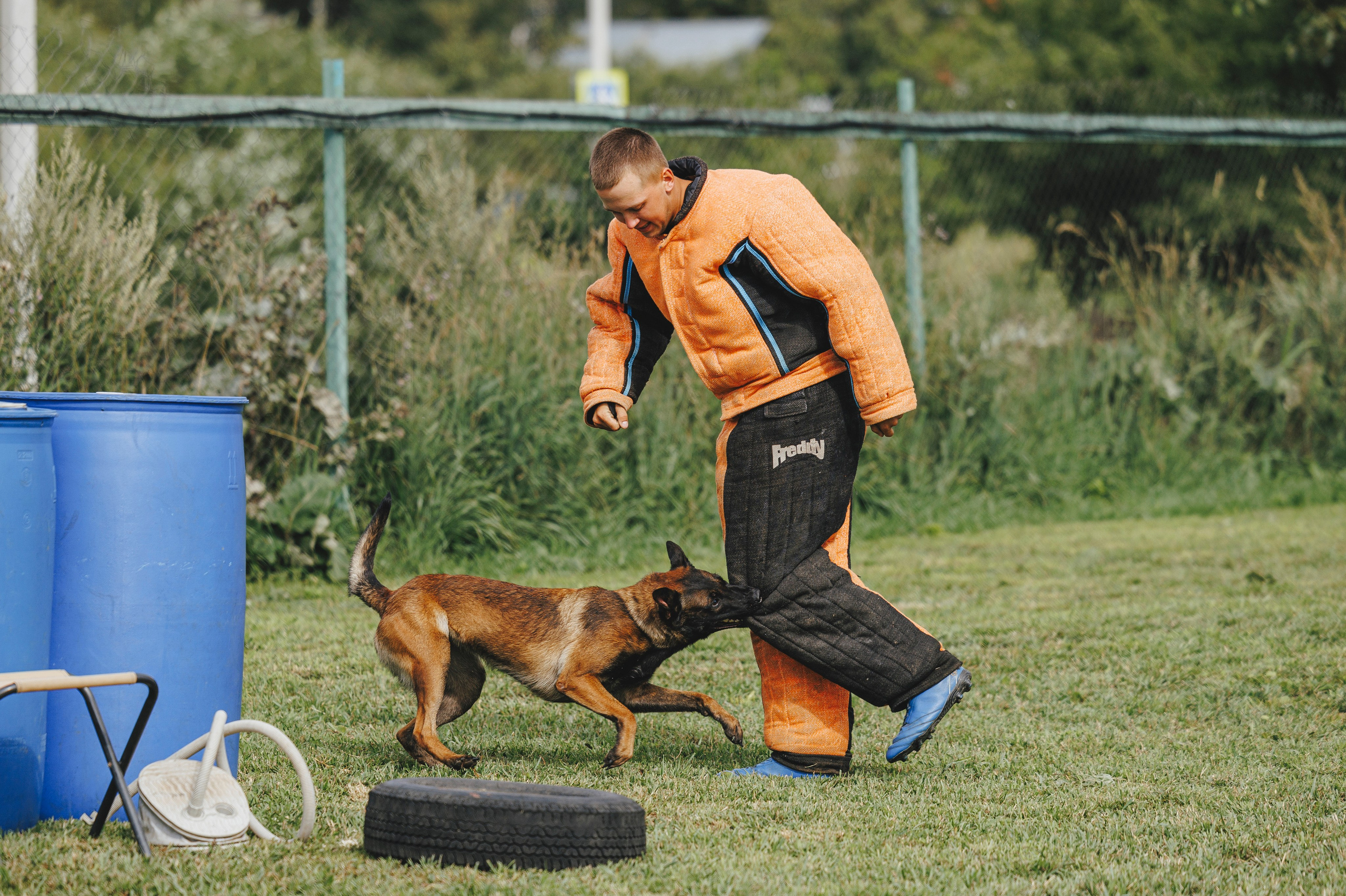 08.08.25-10.08.25 ЧР по мондьорингу г. Вологда. Фотограф-анималист Анна Маринич
