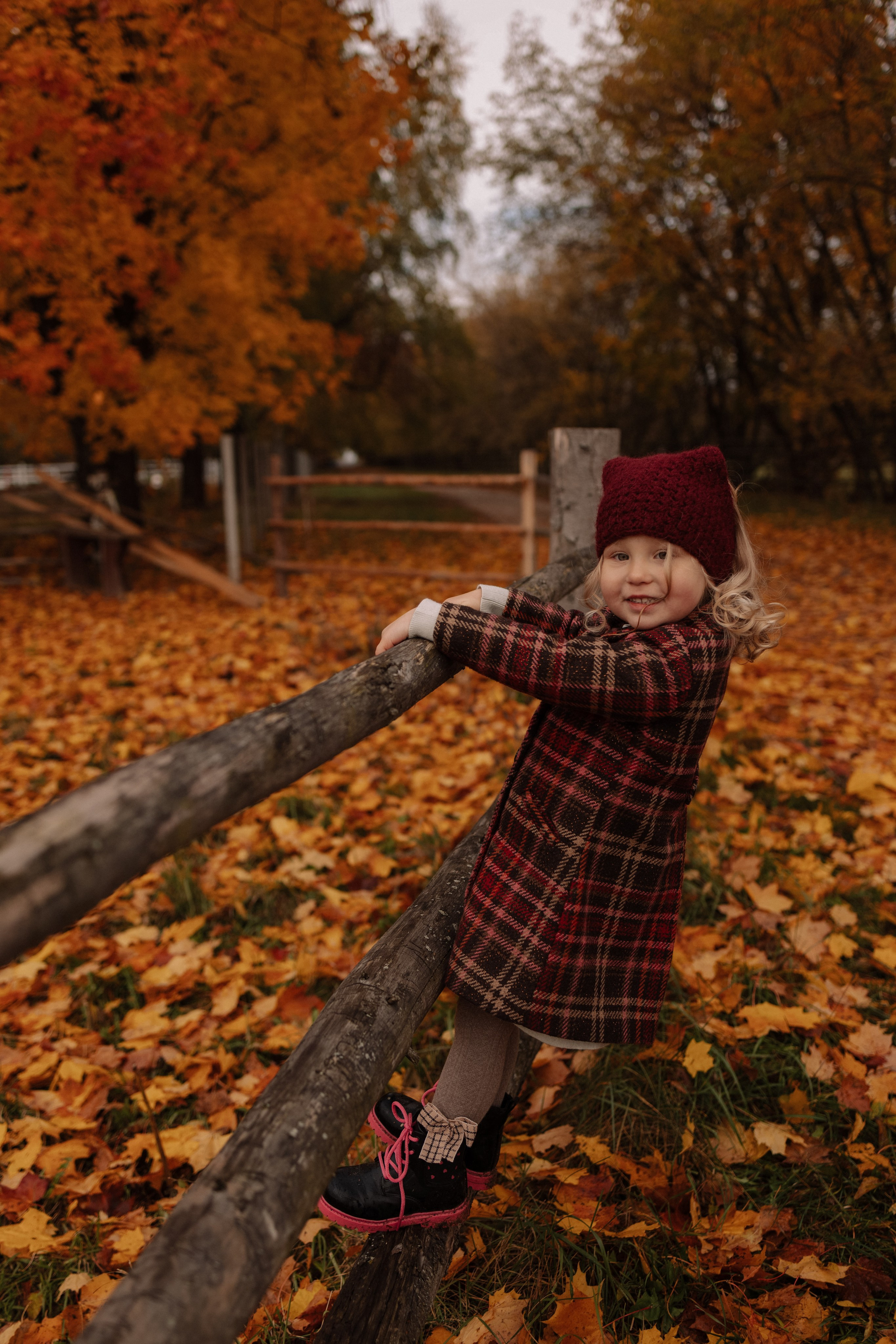 Семейная. Photographer Oseiko Nadezhda