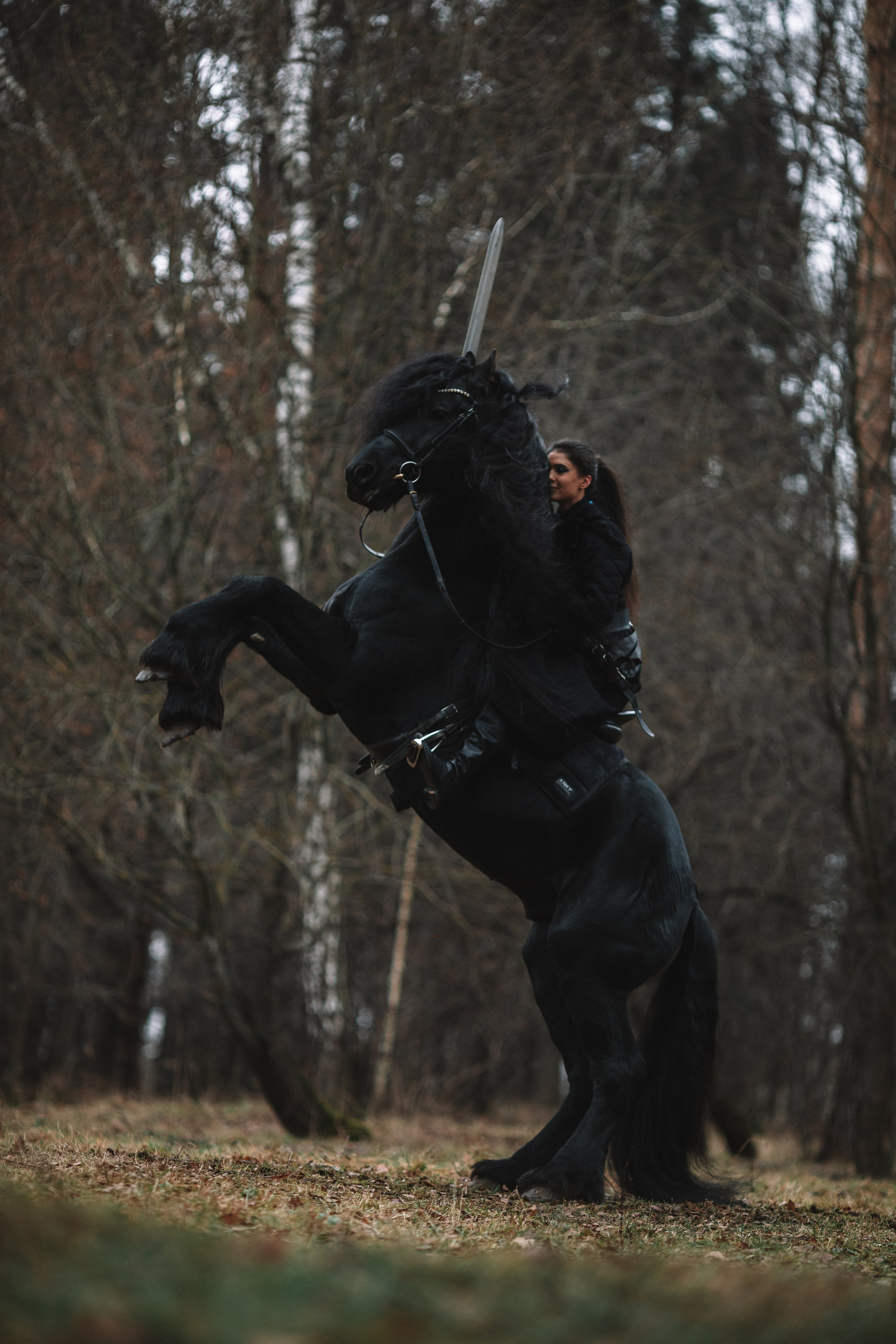 Наташа с фризом в костюме викинга. Фотосессии с лошадьми