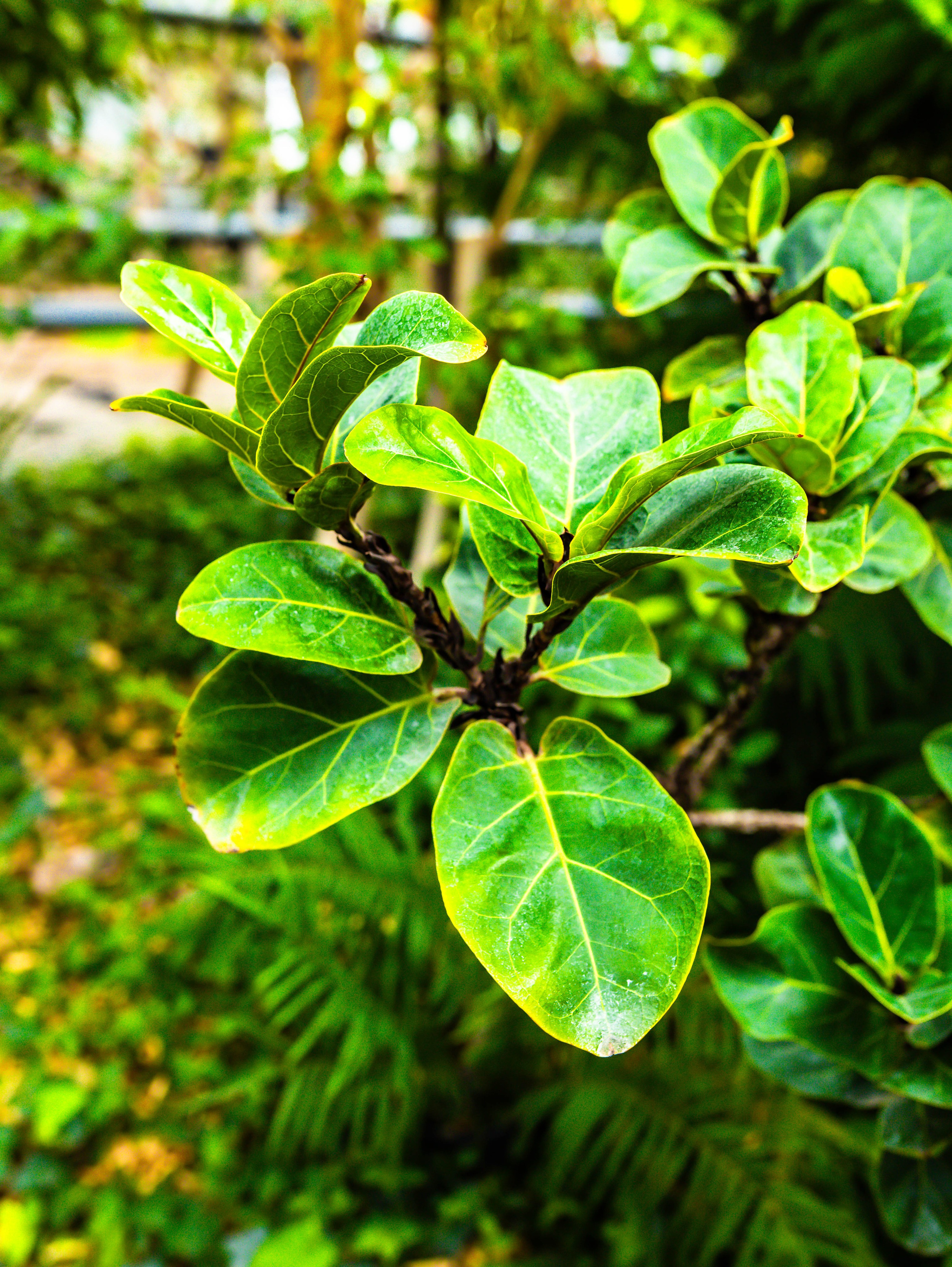 Фотографии природы Липецка. Свадебный и семейный фотограф Виолетта в Липецке