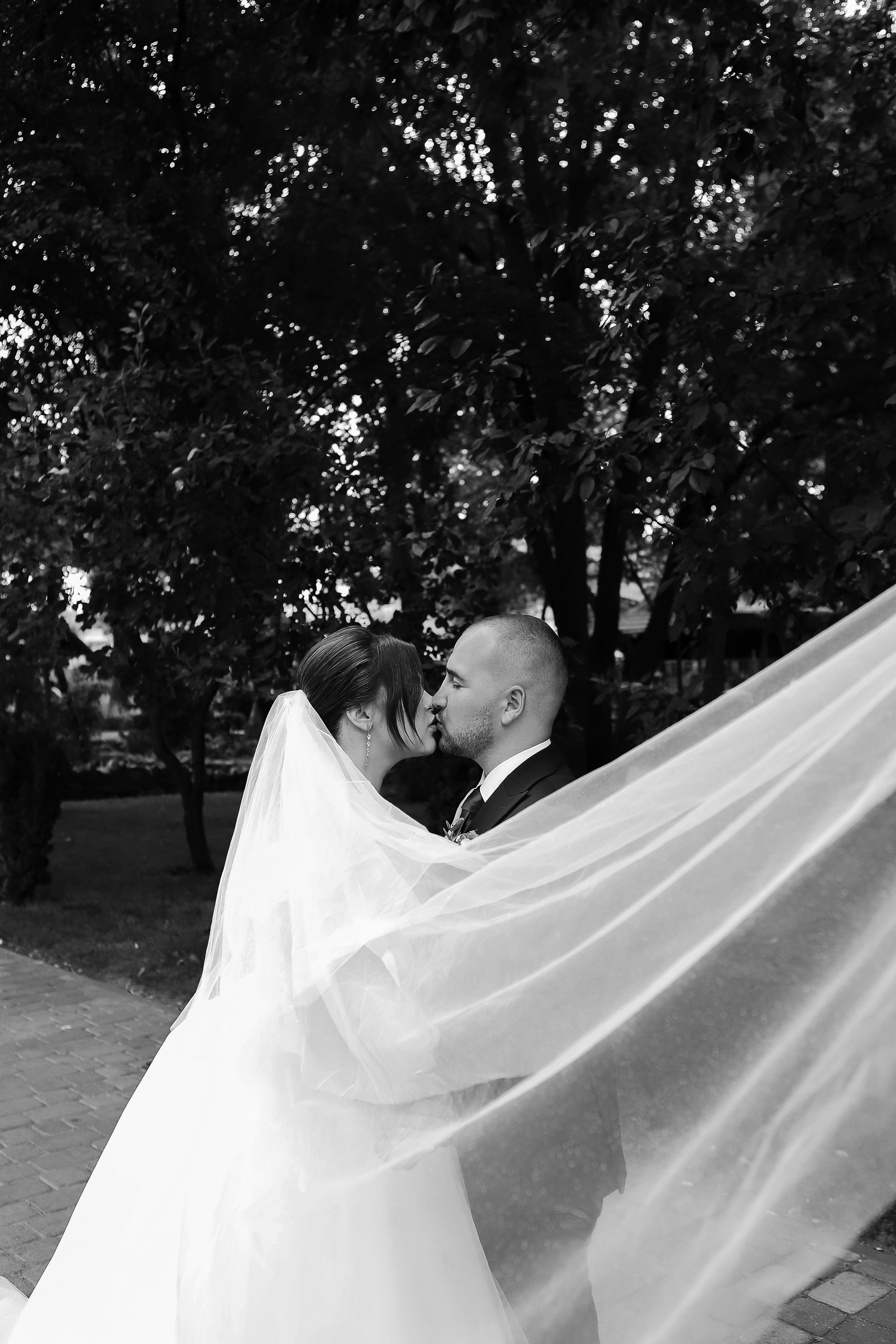 Виталина и Алексей. Свадебный фотограф Евгения Фролова г. Каменск-Шахтинский, Донецк, Ростов