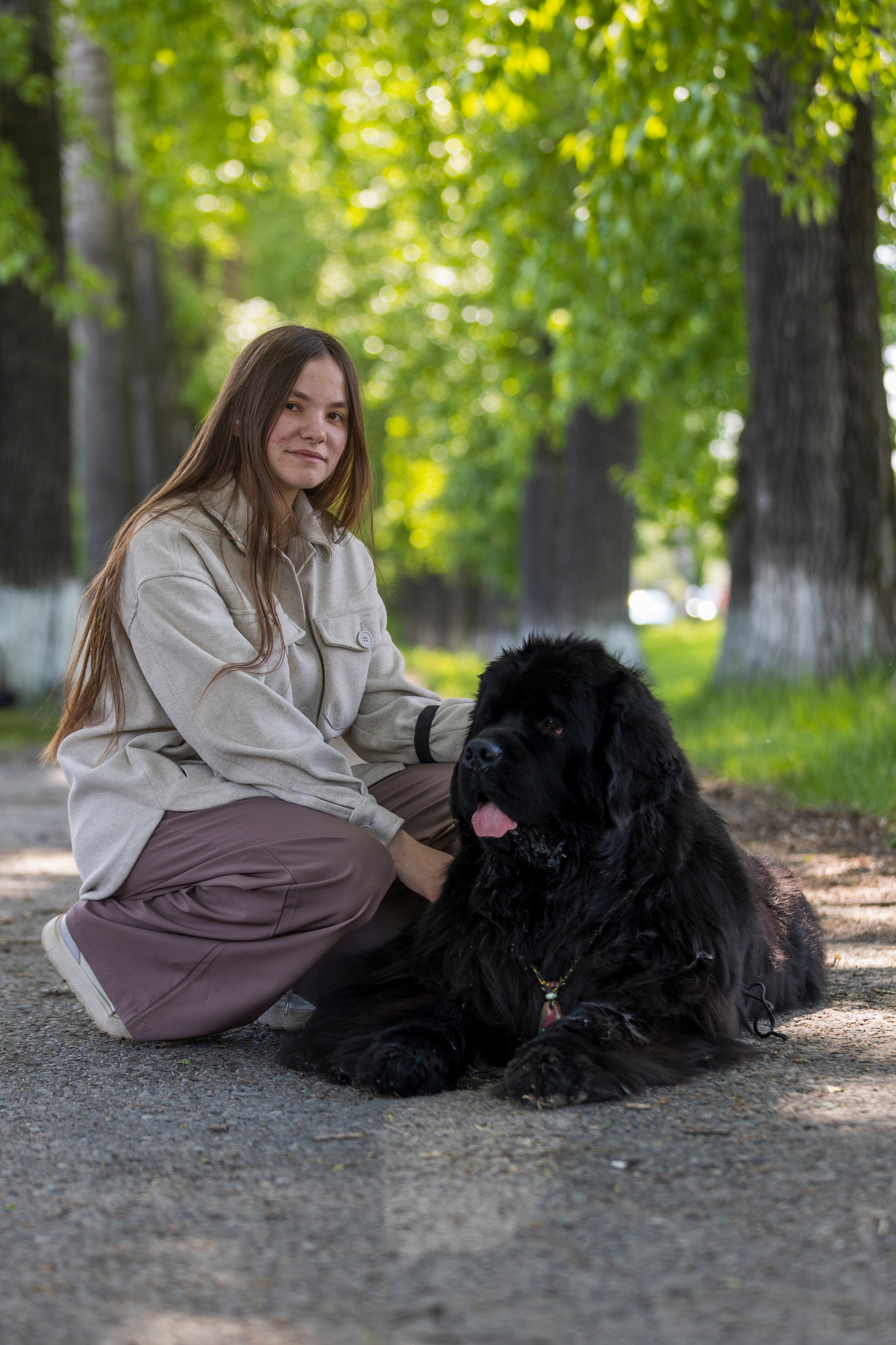 Фотосессии с собаками!. Фотограф 📸 семейный, предметный, репортажный