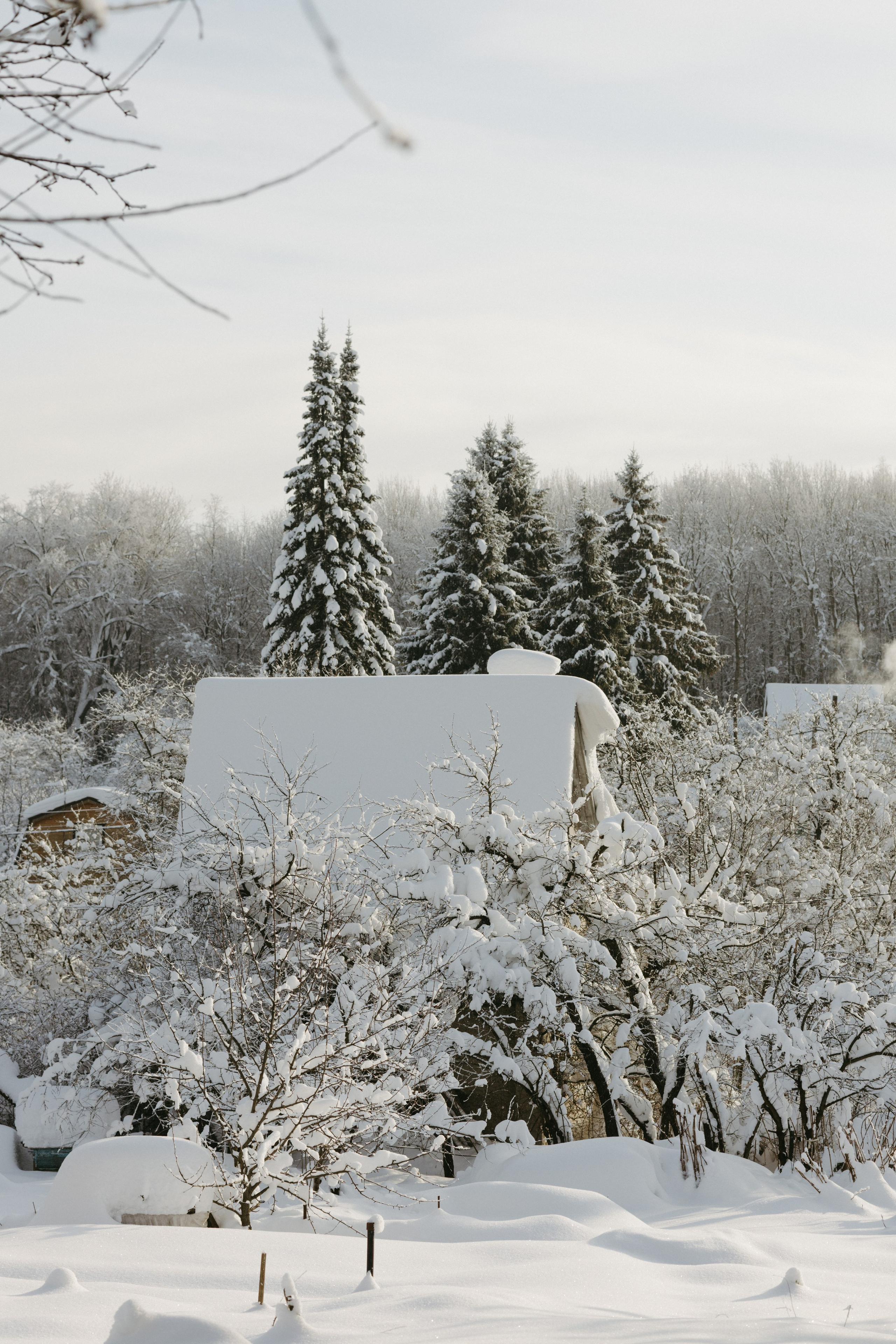 Зимний и летний сад. Фотограф Эльмира Лин
