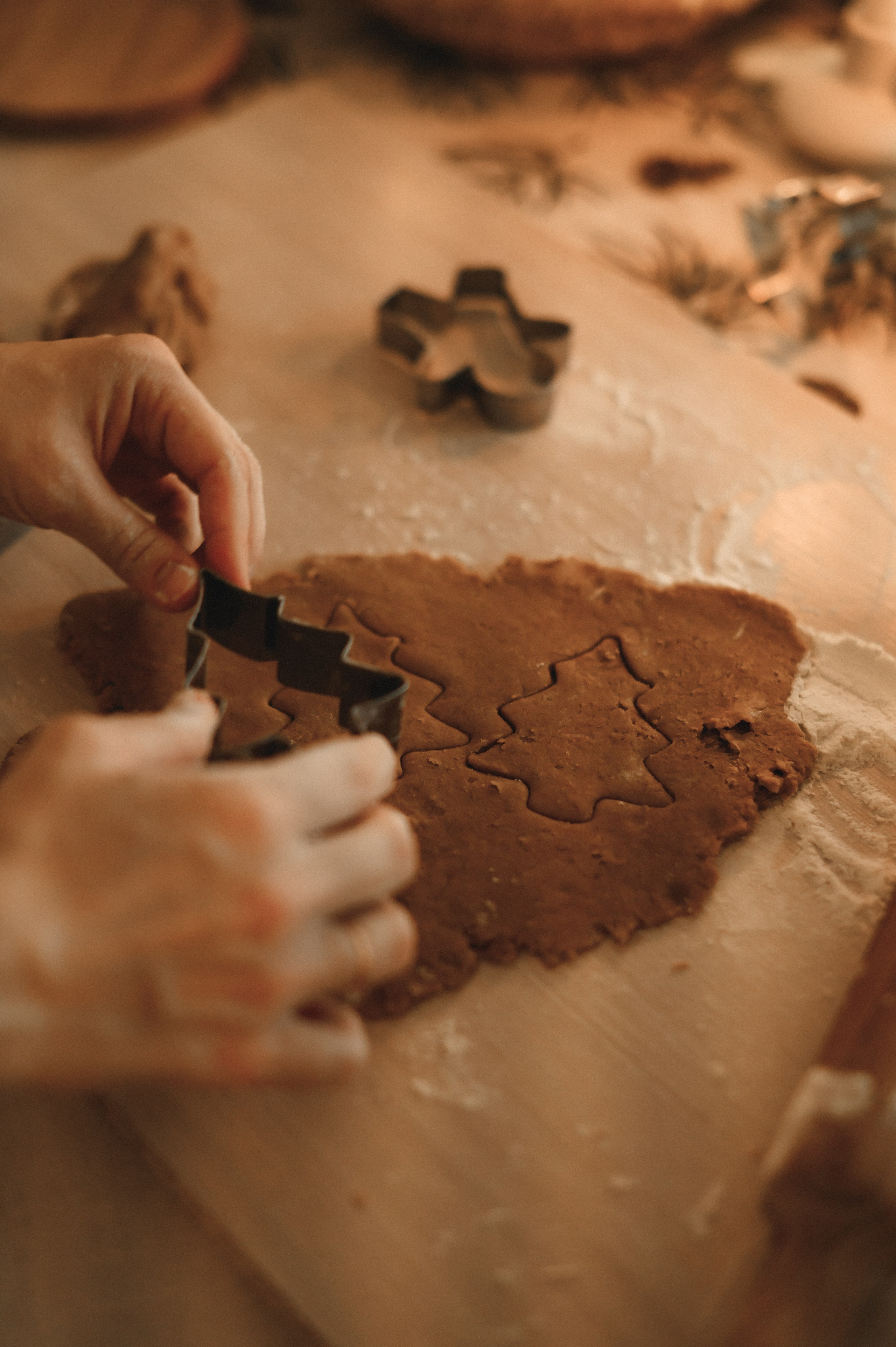 Уютный новый год!. Семейный фотограф в г. Ставрополь, Сорокина Мария