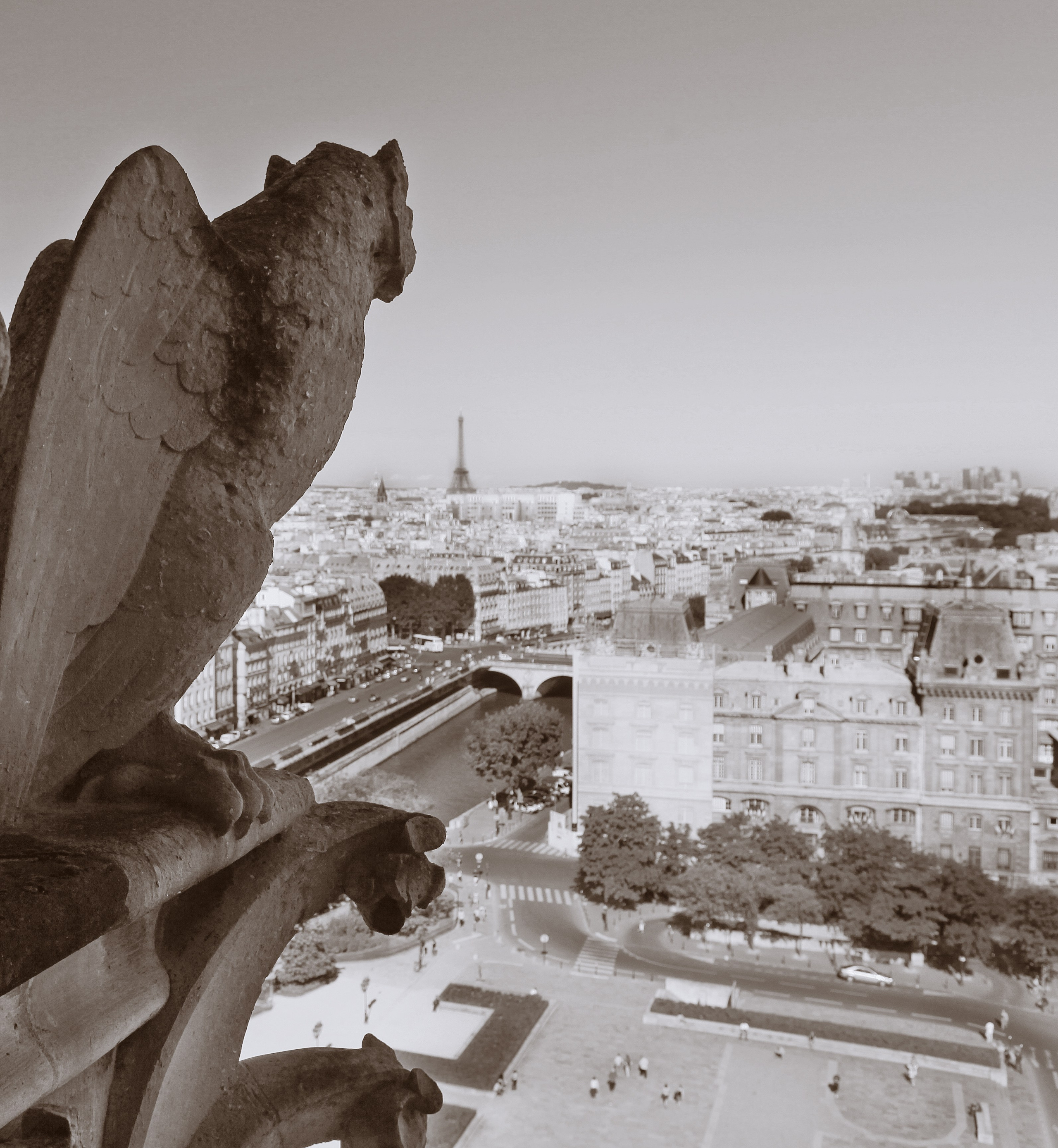 Париж. Фотография, ретушь, сканирование, восстановление старых фото, интерьерная съёмка, студия. Данилов Александр, Москва