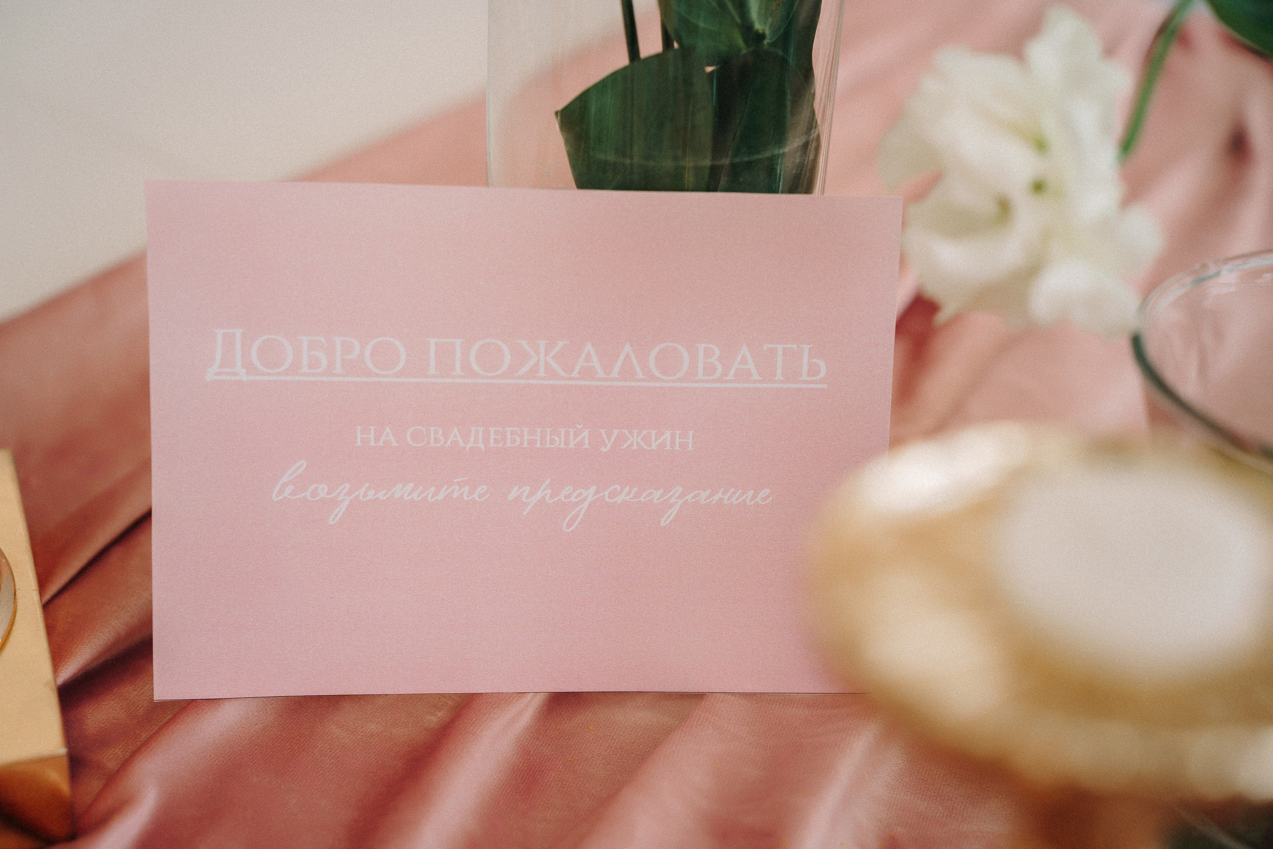 Максим и Ирина. Юлия Тайцай фотограф, Анатолий Тайцай видеограф