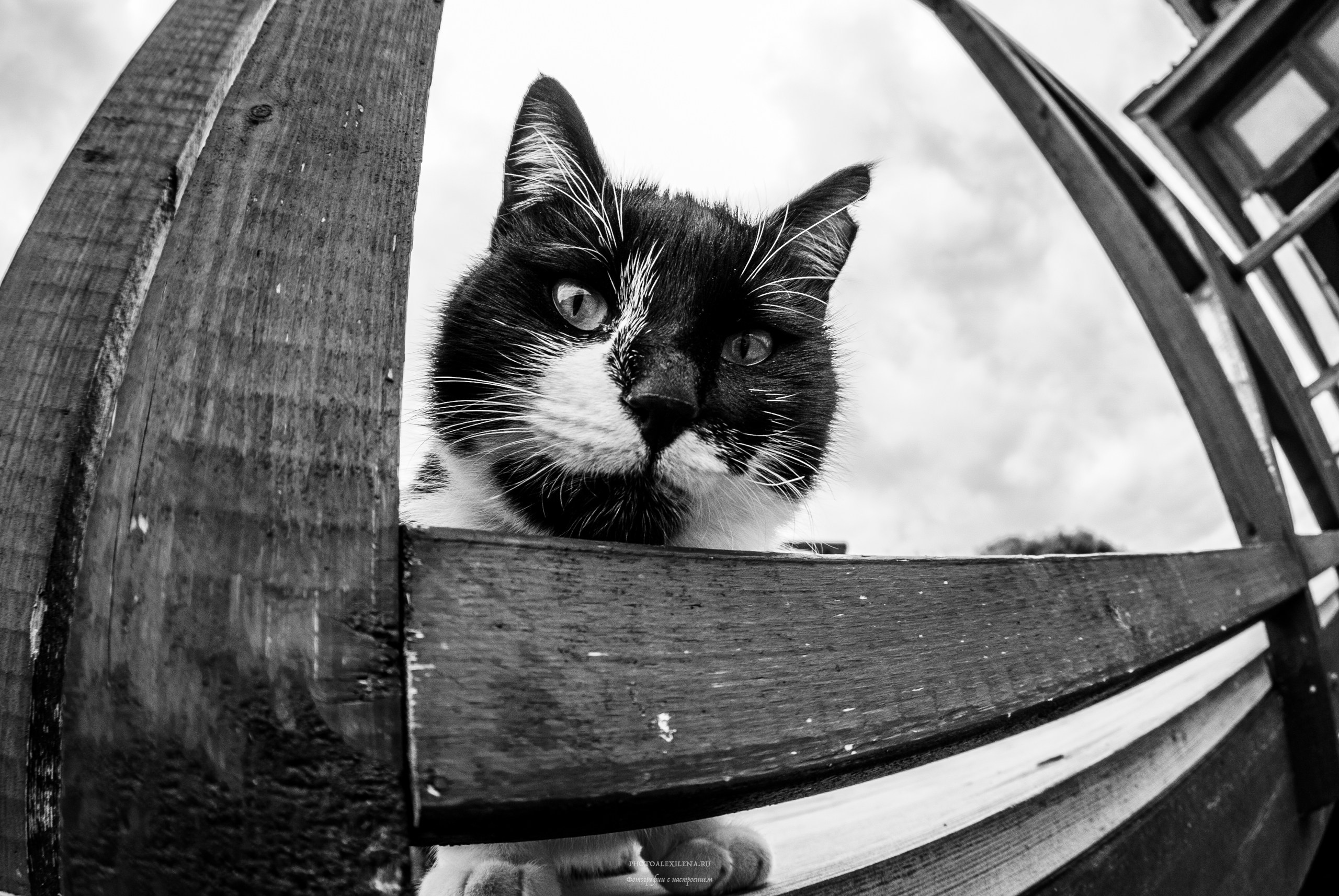 Фотографии макромира для интерьера Вашего дома, квартиры, офиса или да. Авторские стильные фотокартины