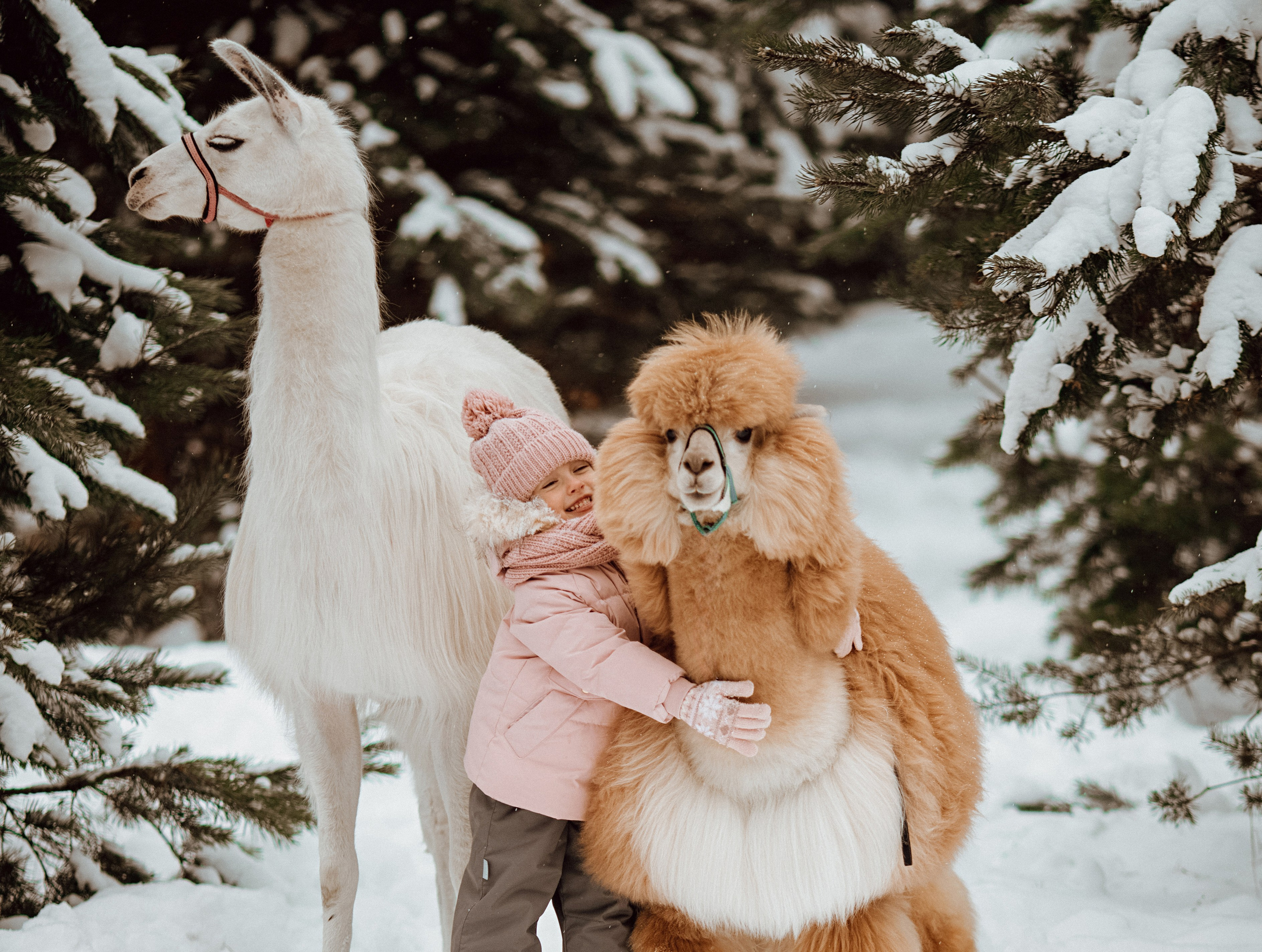 Семейные съемки. Алина Малышева, свадебный и семейный фотограф Москва