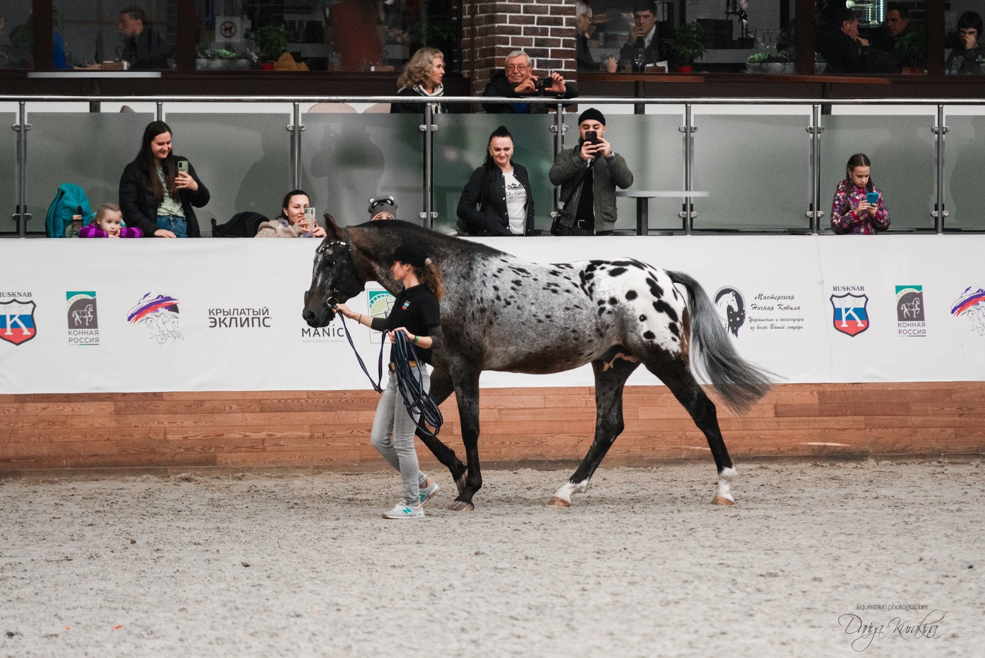 8-я международная выставка Конная Россия. Конный фотограф Куракина Дарья • Фотосессии с лошадьми