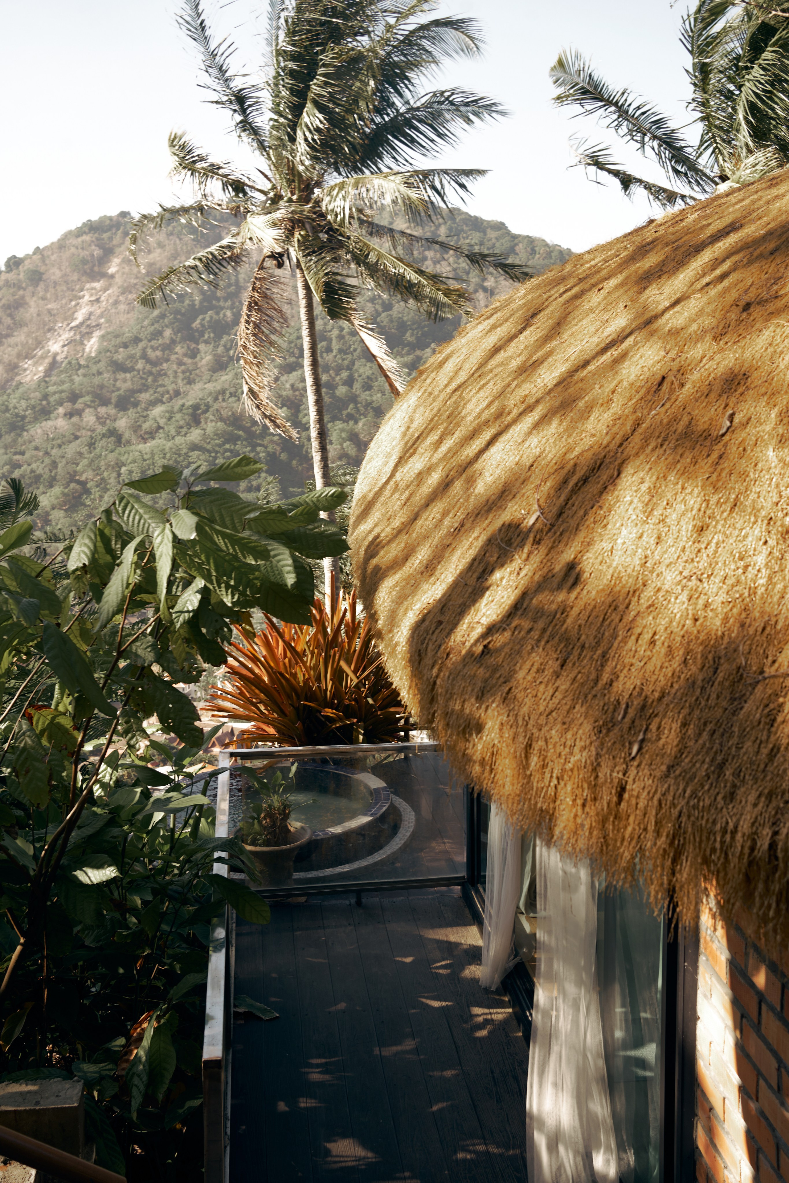 Jungle Farm. Mayskaya photography