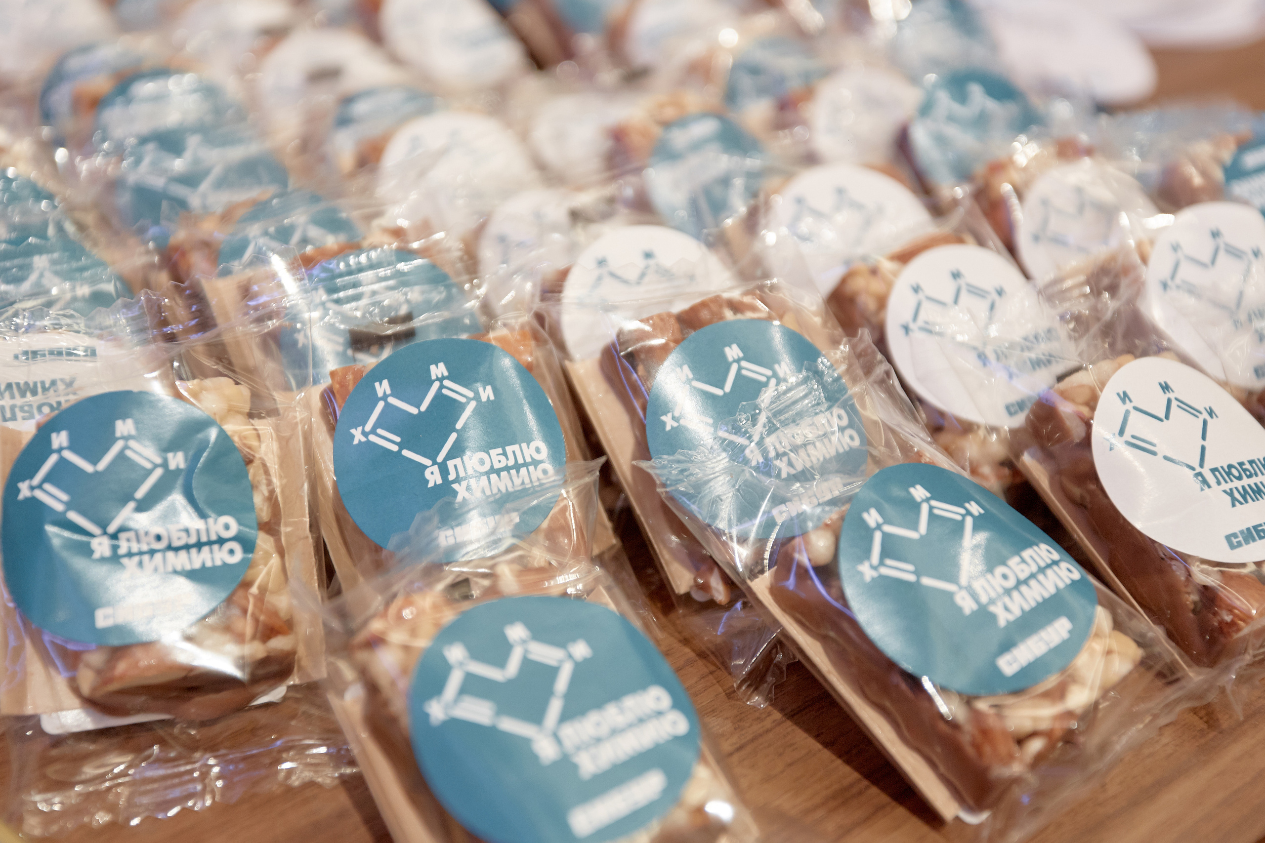 Case-in. Фотограф Сонкина Татьяна