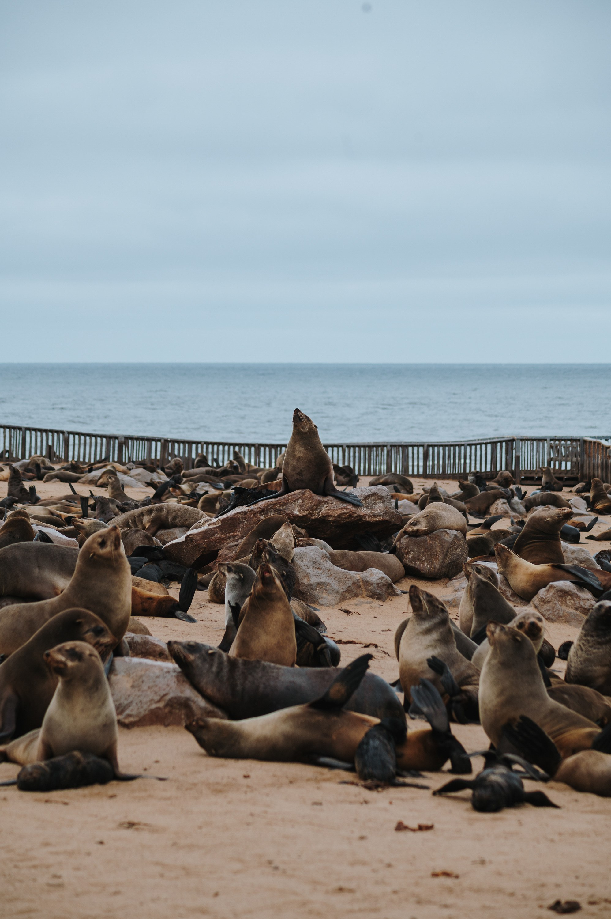 НАМИБИЯ. Роадтрип