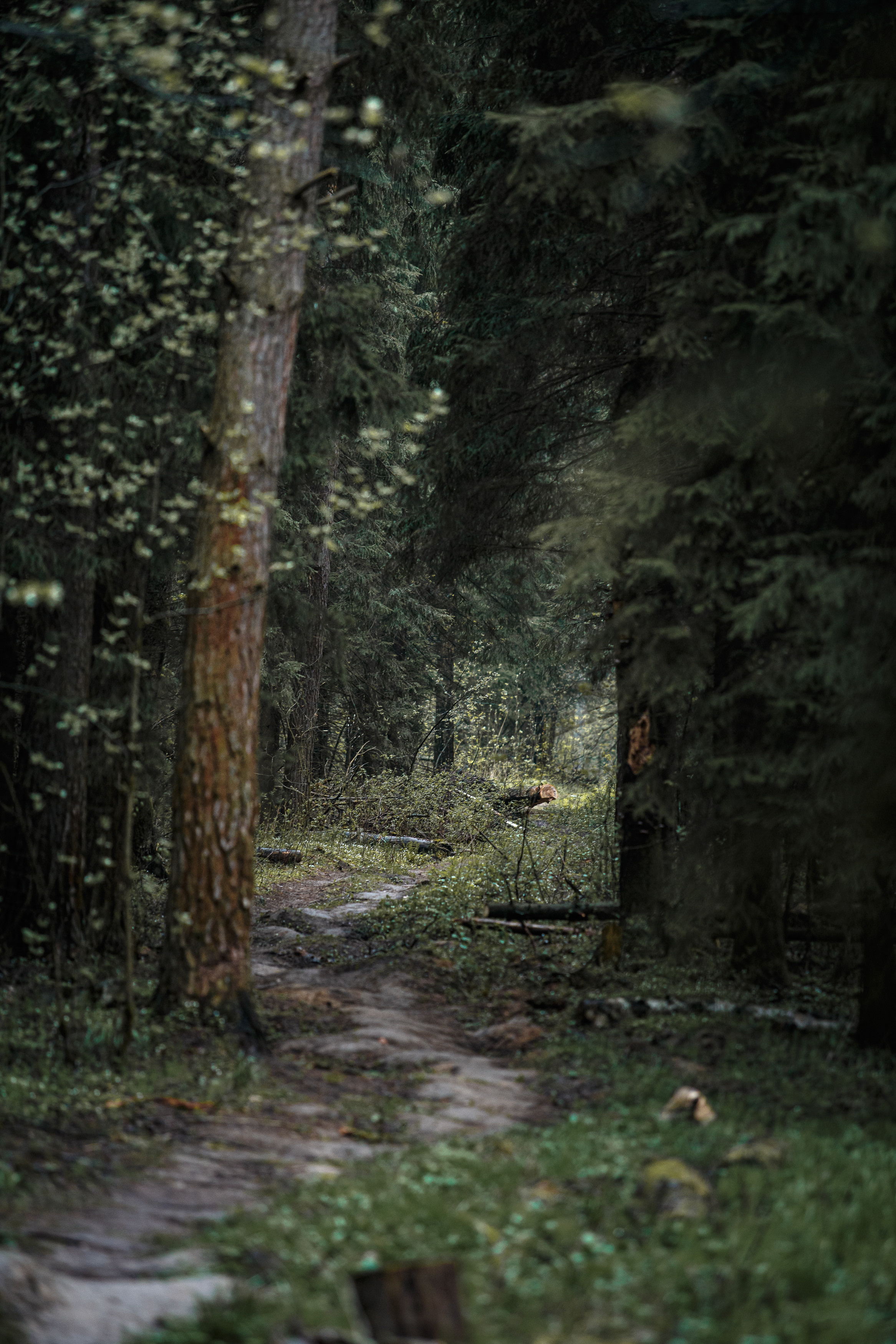 Пейзажи. Свадебный и репортажный фотограф в Москве и Московской области
