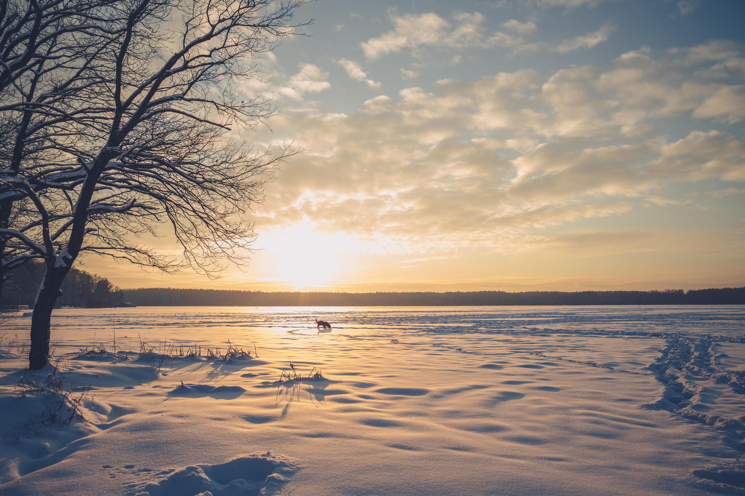 Пейзажи. Свадебный и репортажный фотограф в Москве и Московской области