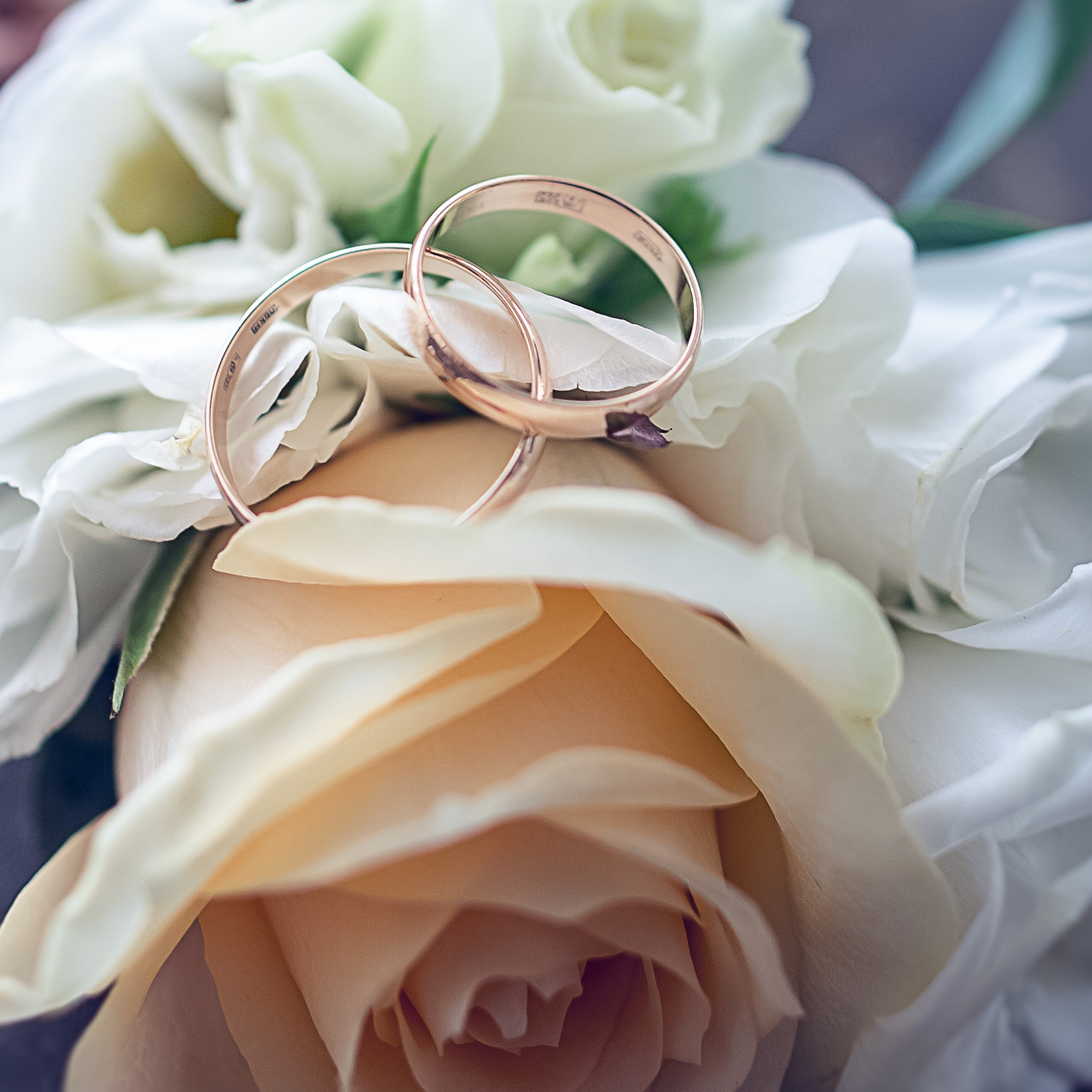 Вячеслав и Вера. Свадебный и репортажный фотограф в Москве и Московской области