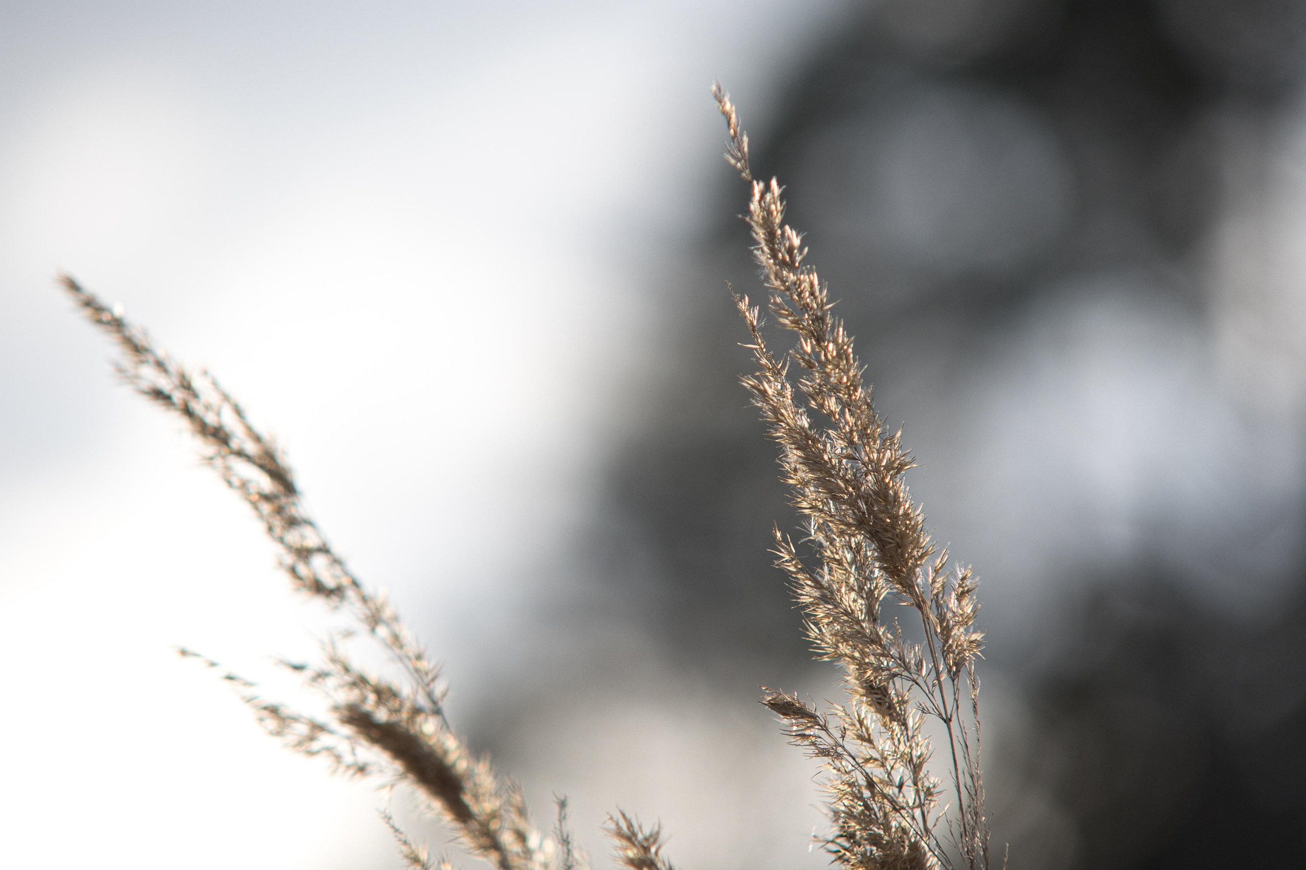 Пейзажи. Свадебный и репортажный фотограф в Москве и Московской области