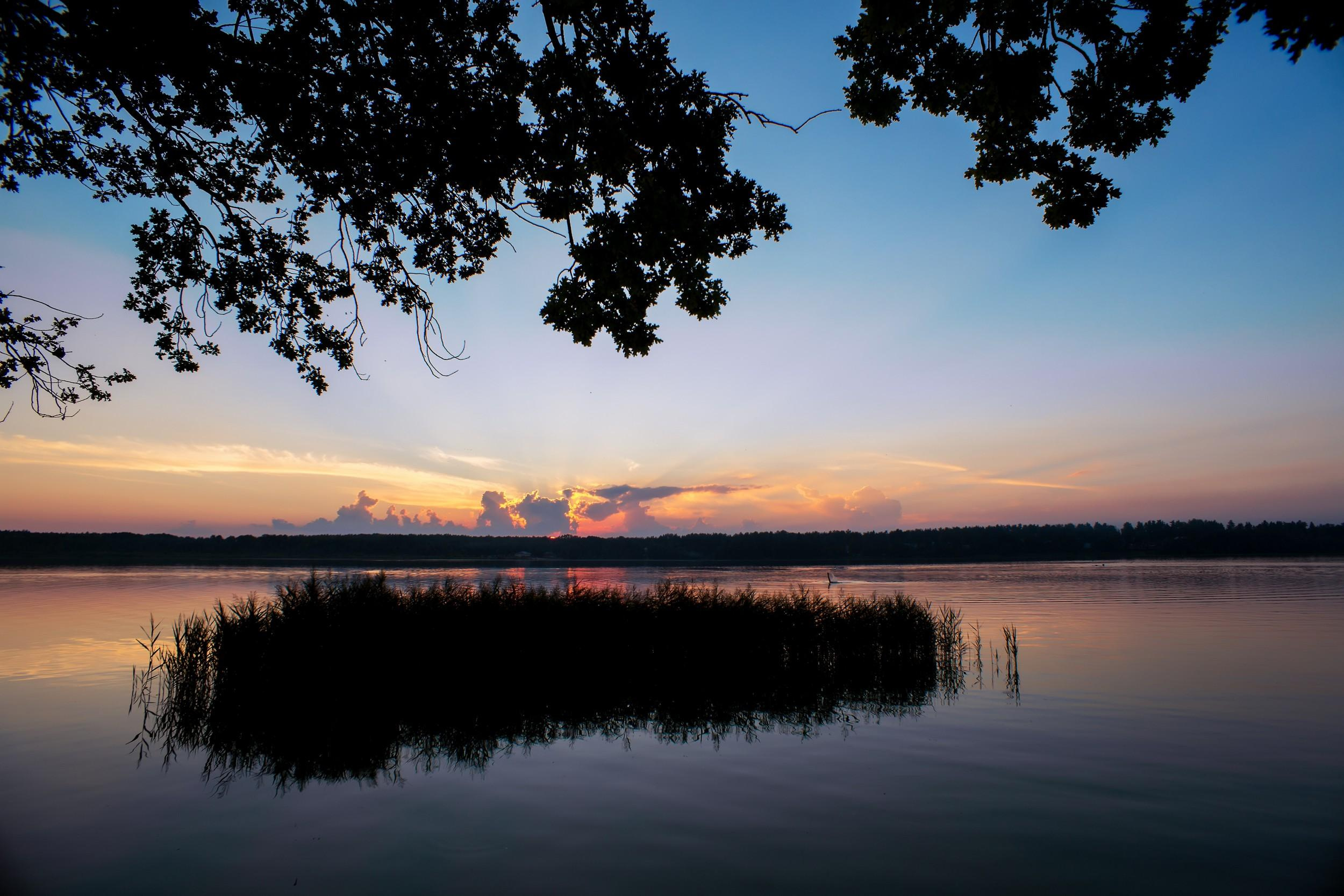 Антон и Татьяна. Свадебный и репортажный фотограф в Москве и Московской области