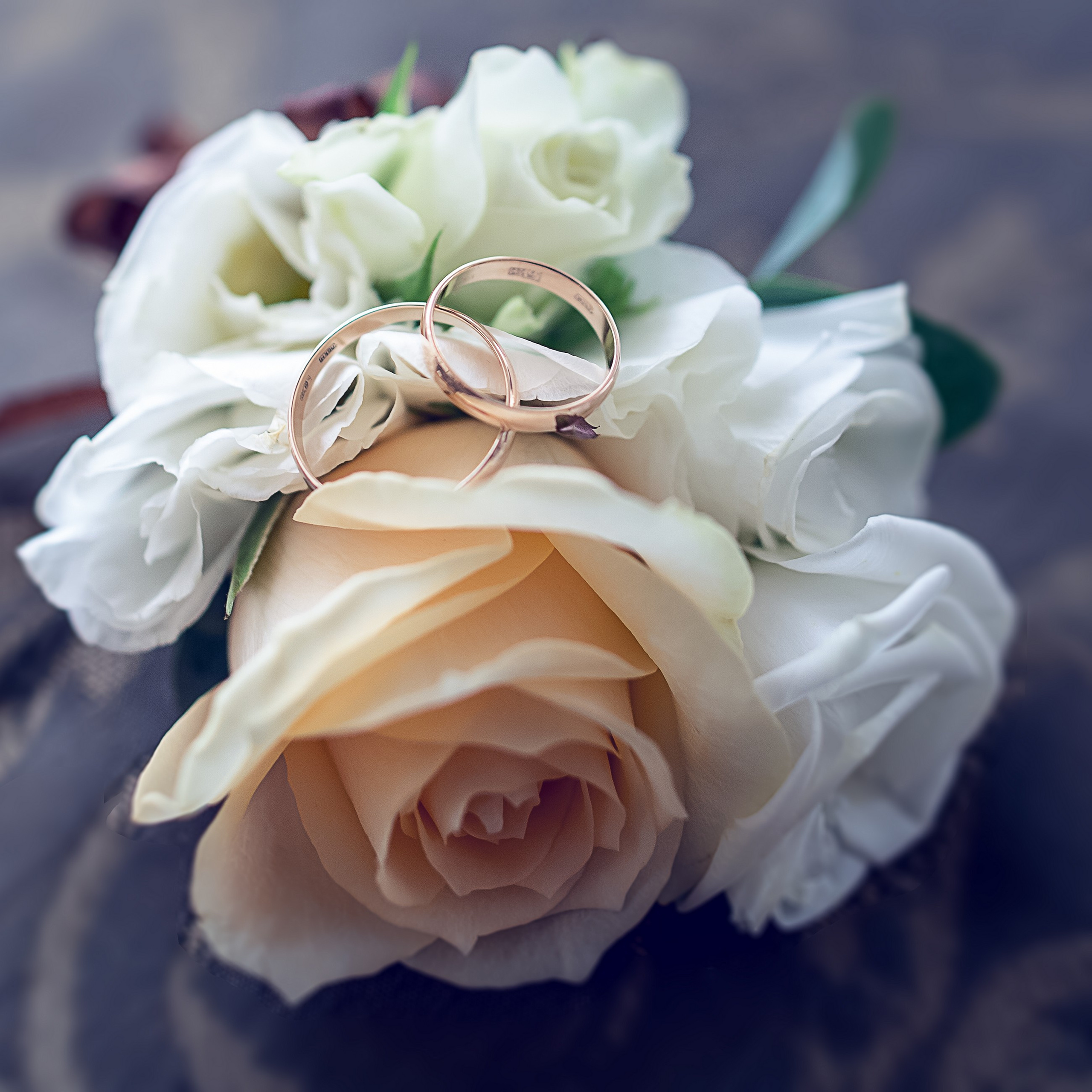 Вячеслав и Вера. Свадебный и репортажный фотограф в Москве и Московской области