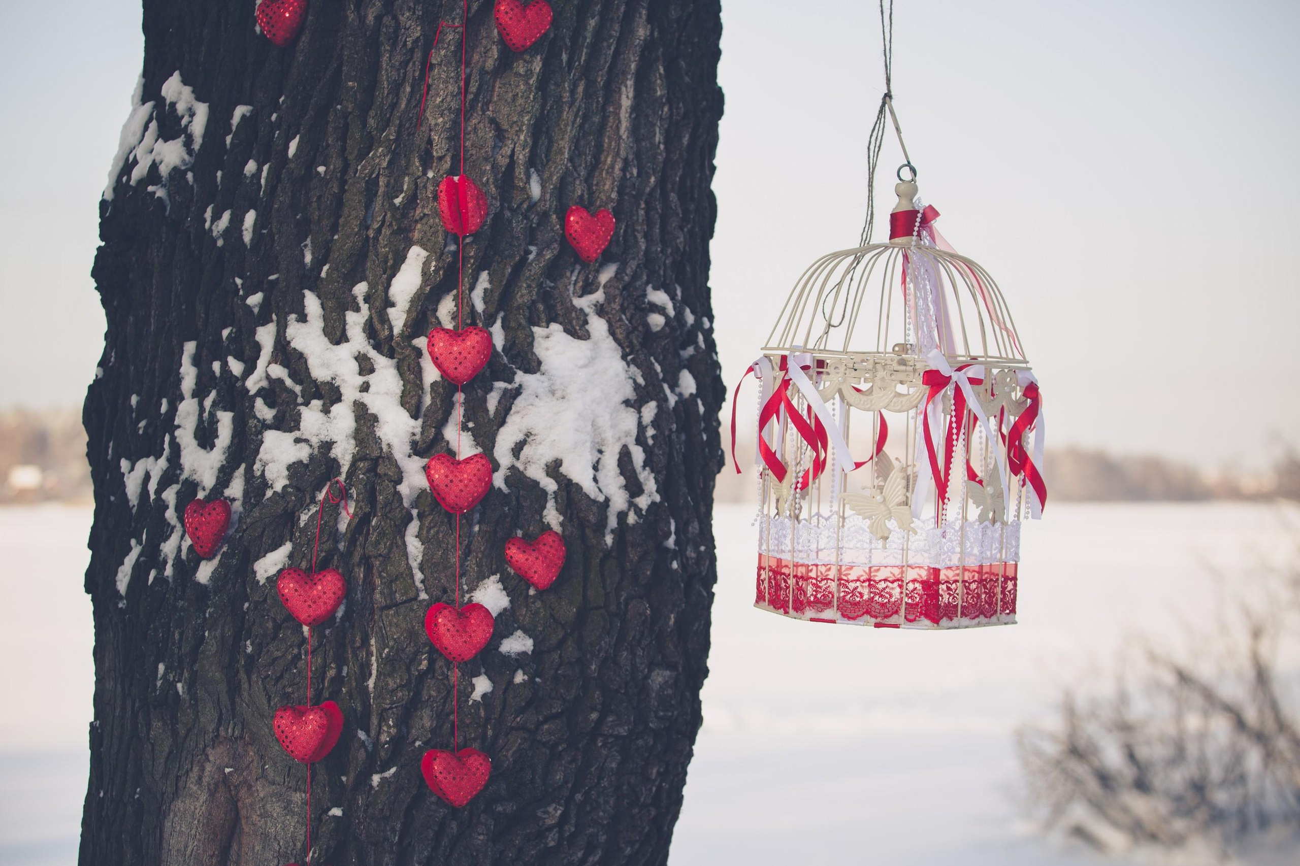 Зимняя история. Свадебный и репортажный фотограф в Москве и Московской области