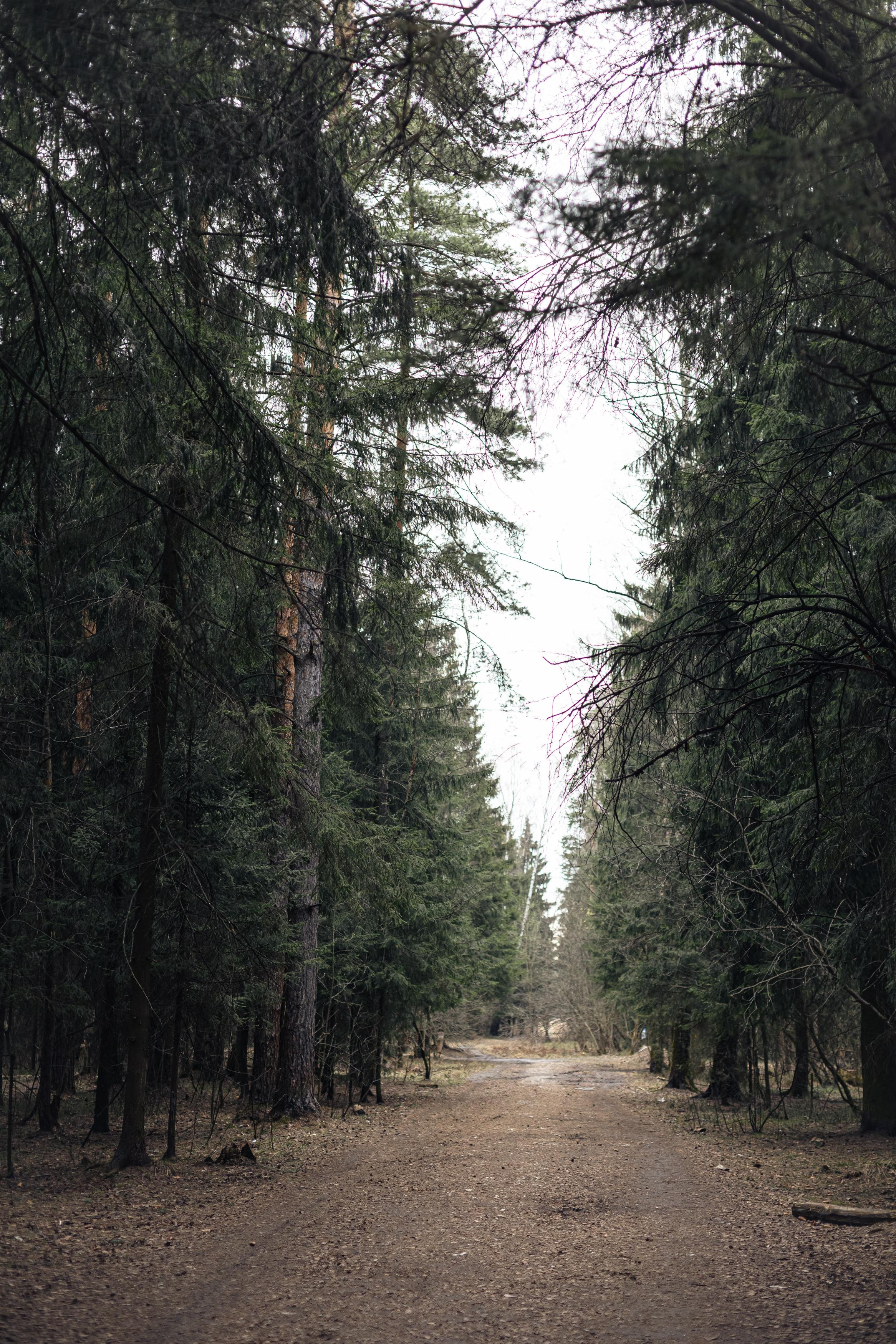 Пейзажи. Свадебный и репортажный фотограф в Москве и Московской области