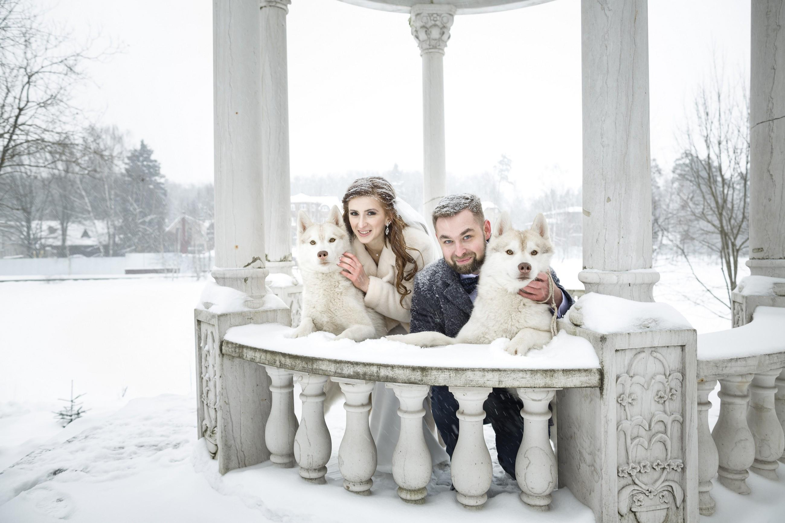 Денис и Елена. Свадебный и репортажный фотограф в Москве и Московской области