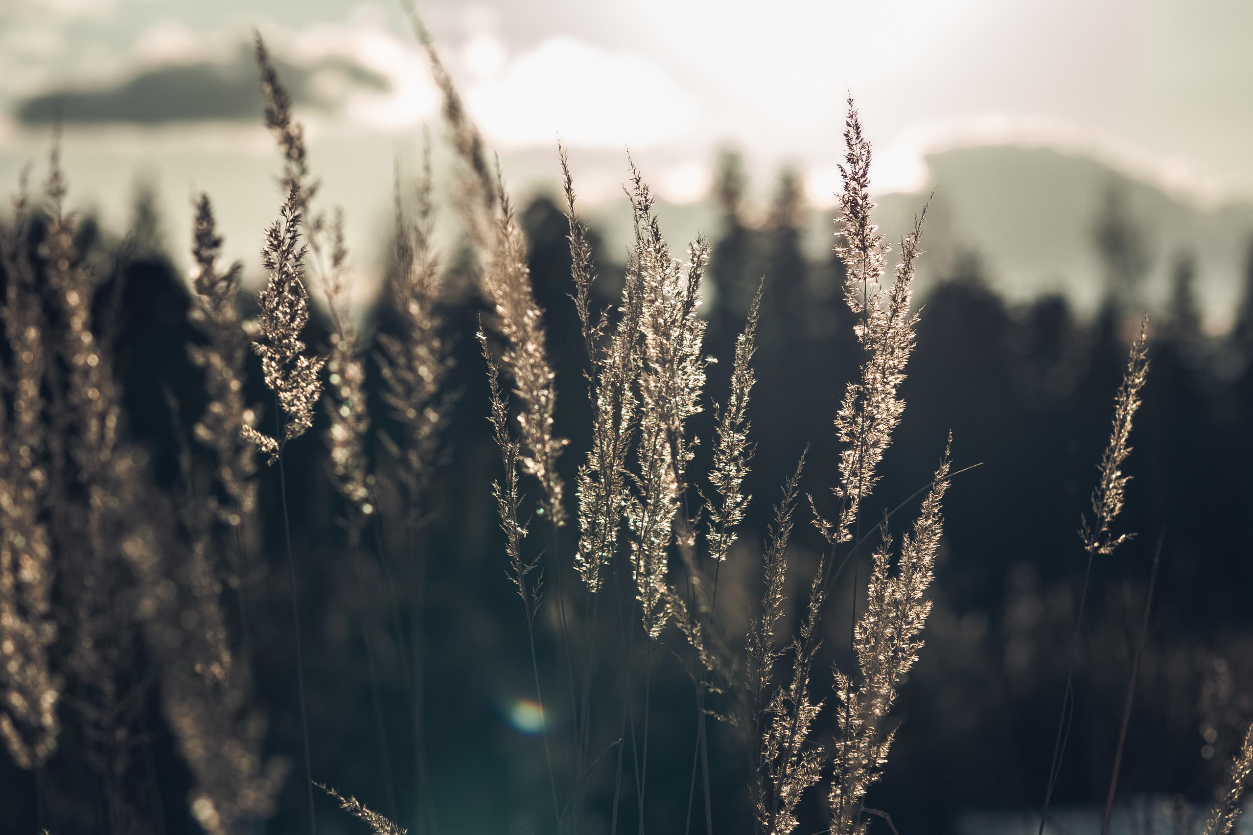 Пейзажи. Свадебный и репортажный фотограф в Москве и Московской области