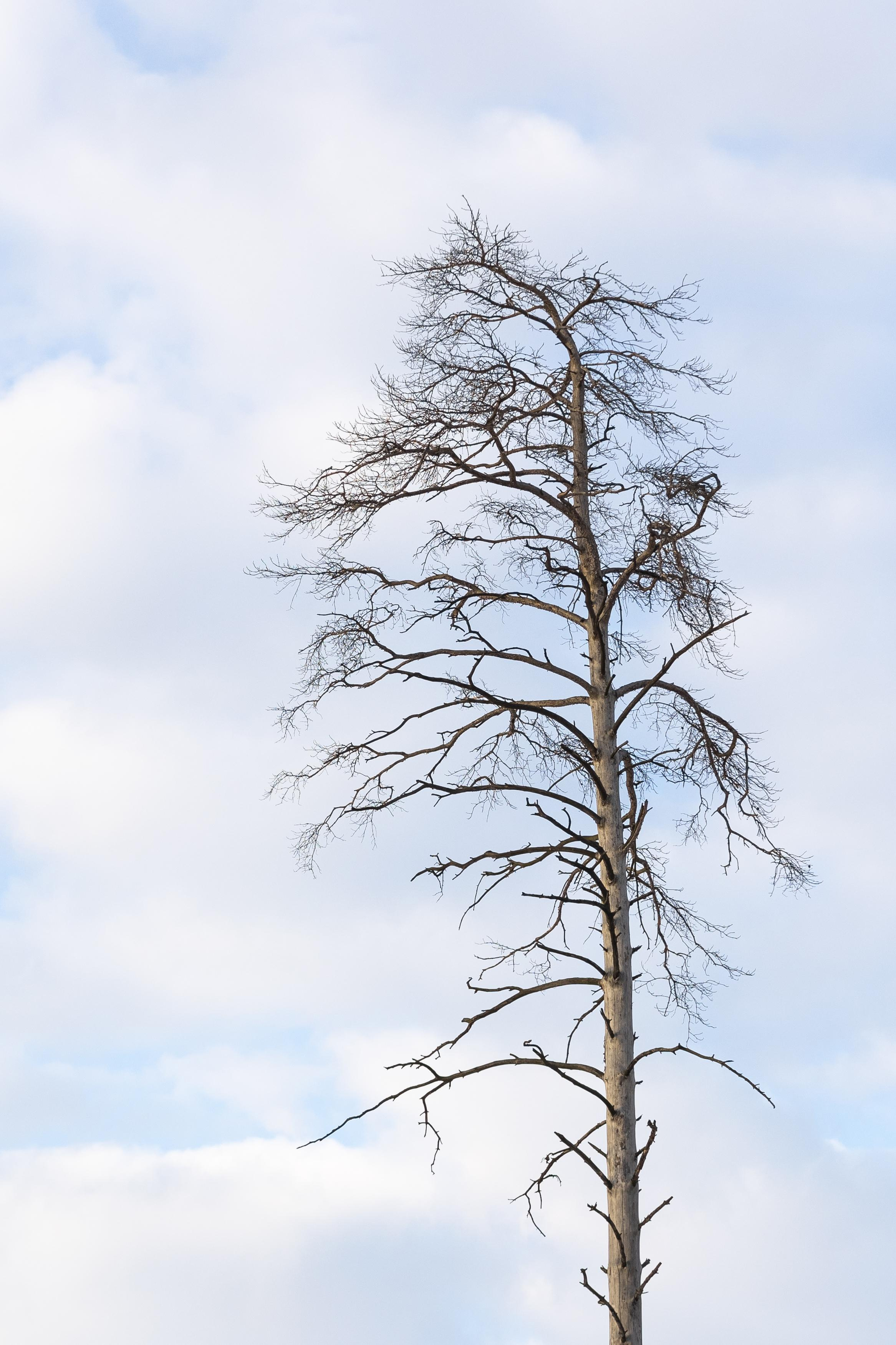 Пейзажи. Свадебный и репортажный фотограф в Москве и Московской области