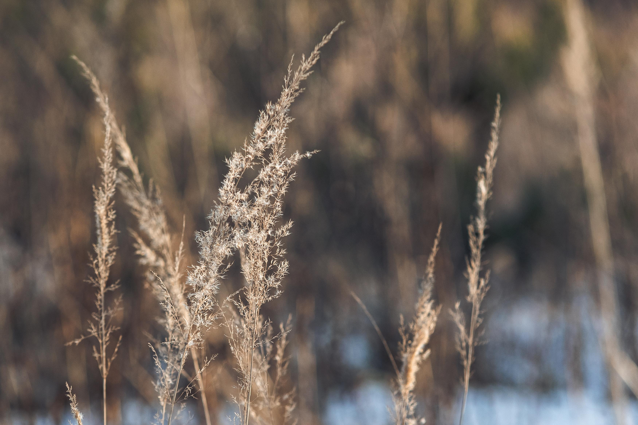 Пейзажи. Свадебный и репортажный фотограф в Москве и Московской области