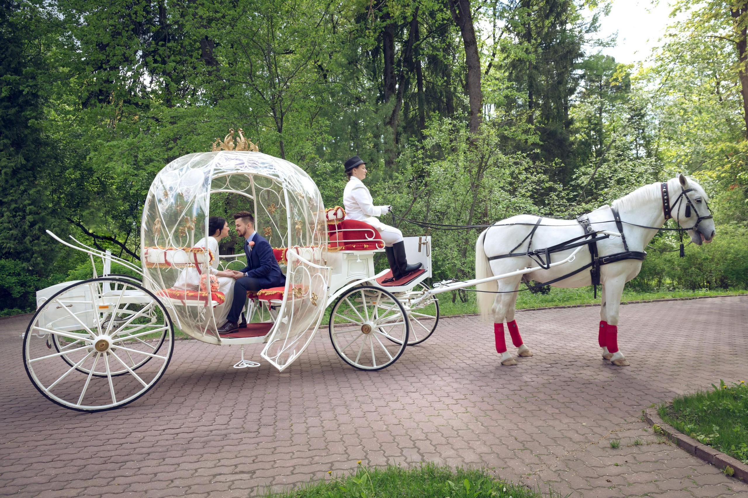 Алексей и Алёна. Свадебный и репортажный фотограф в Москве и Московской области