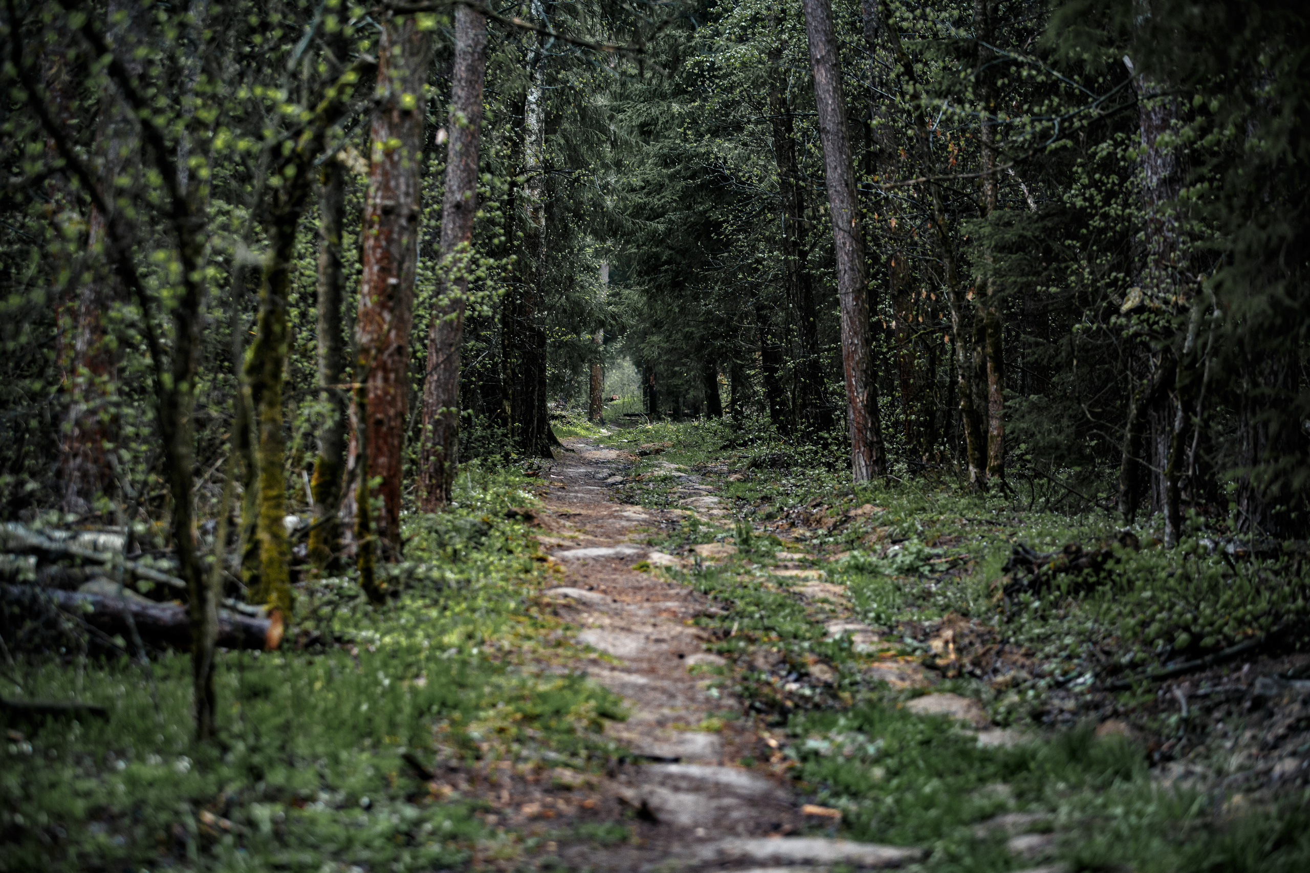 Пейзажи. Свадебный и репортажный фотограф в Москве и Московской области