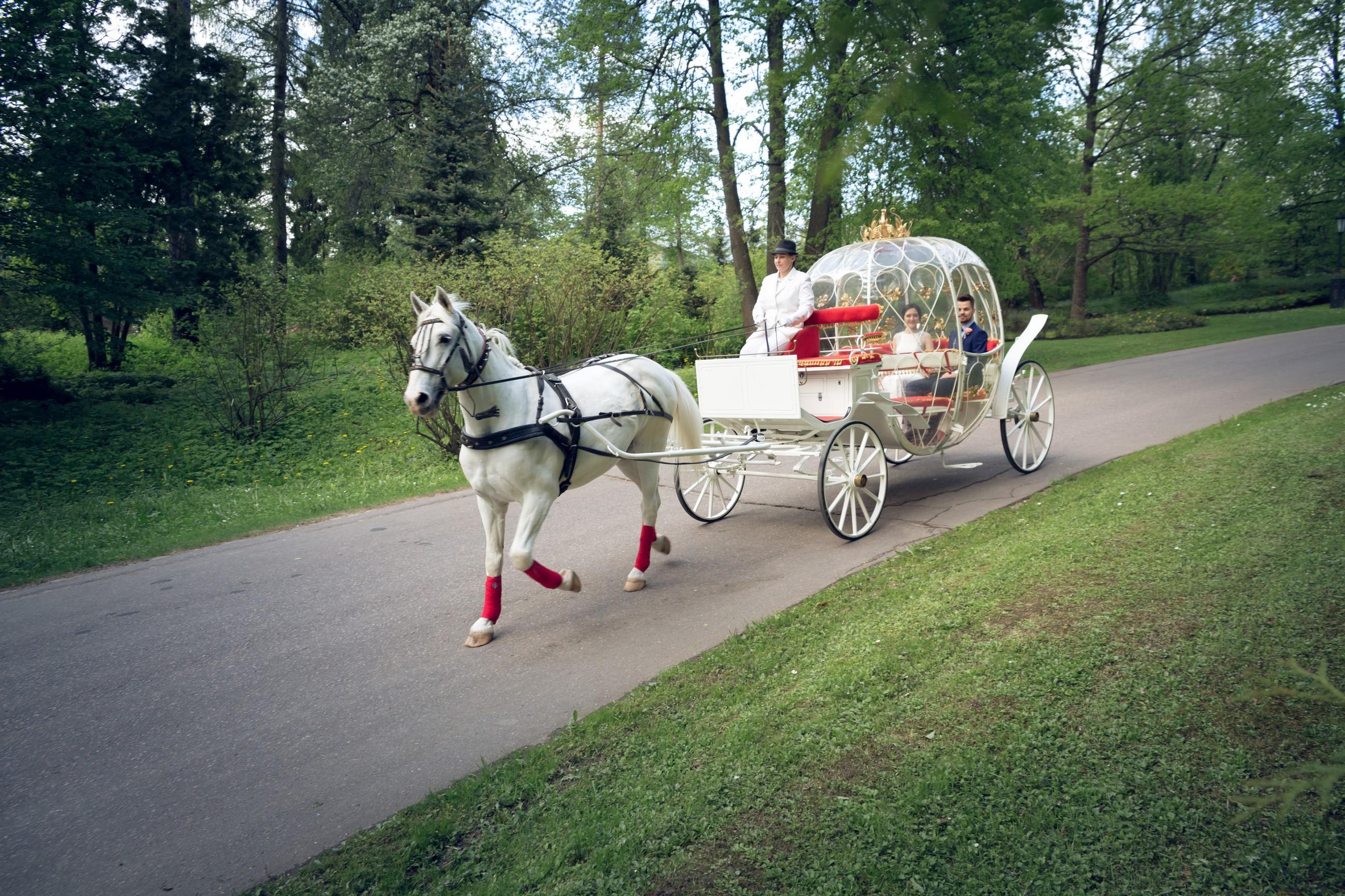 Алексей и Алёна. Свадебный и репортажный фотограф в Москве и Московской области