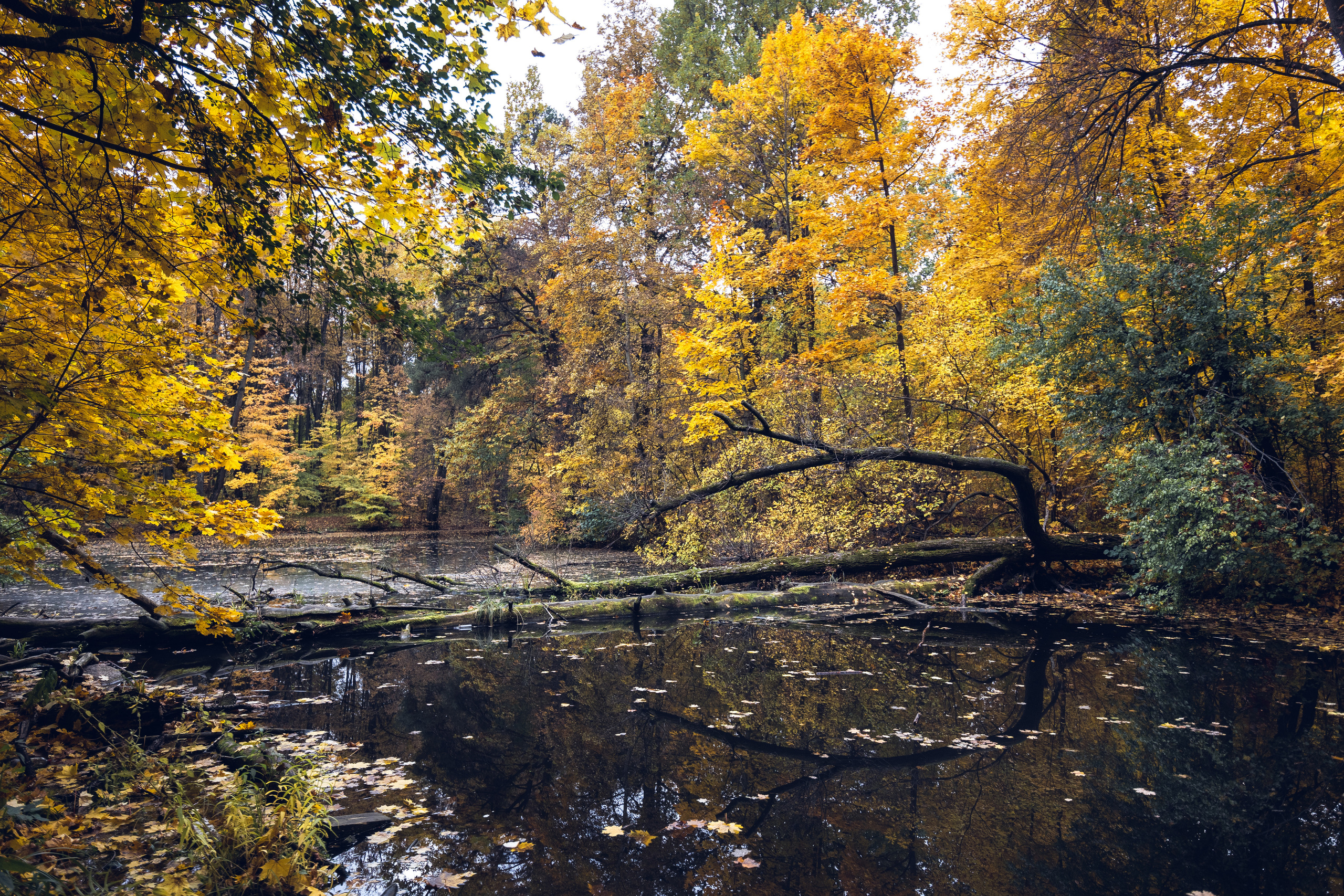Пейзажи. Свадебный и репортажный фотограф в Москве и Московской области