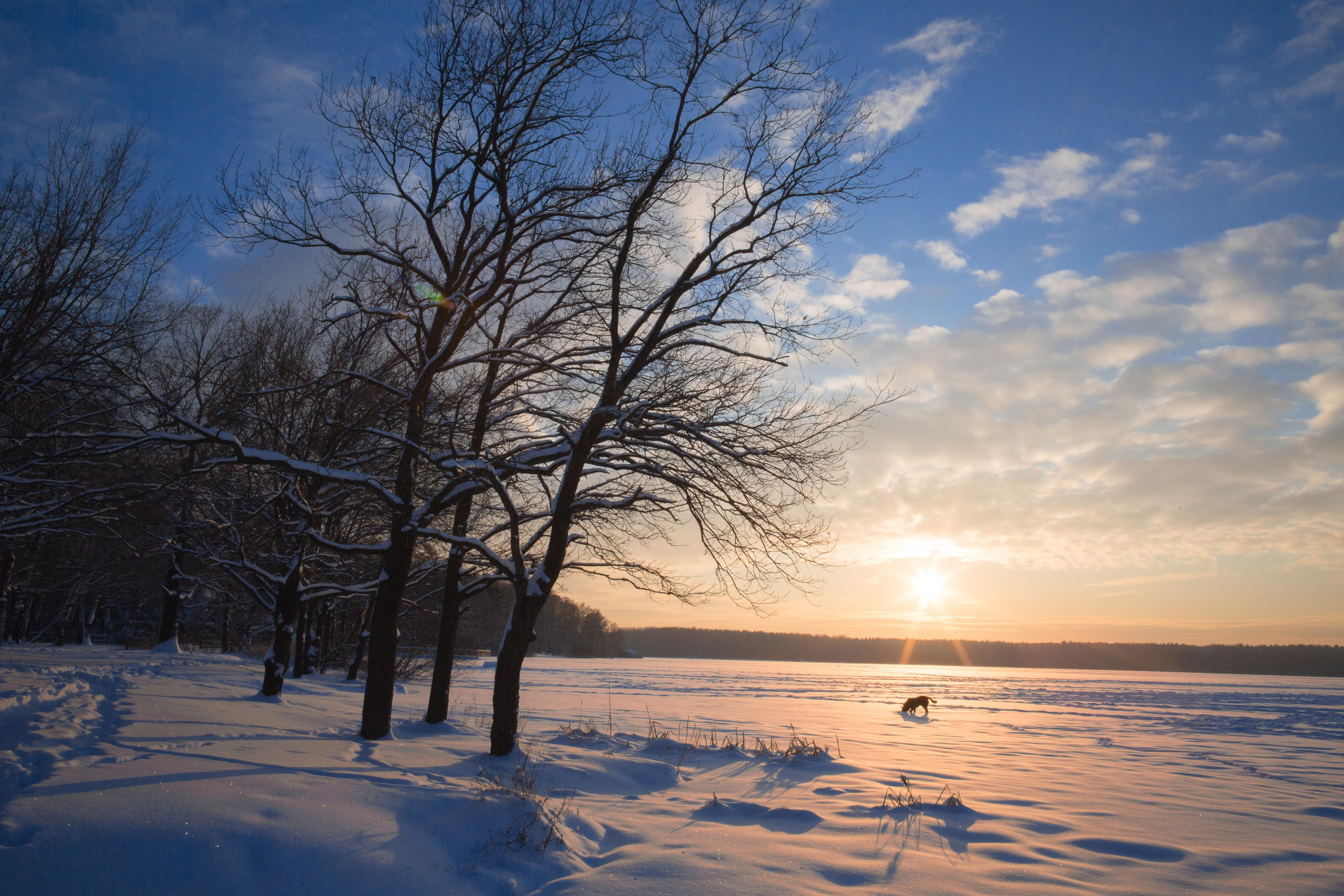 Пейзажи. Свадебный и репортажный фотограф в Москве и Московской области