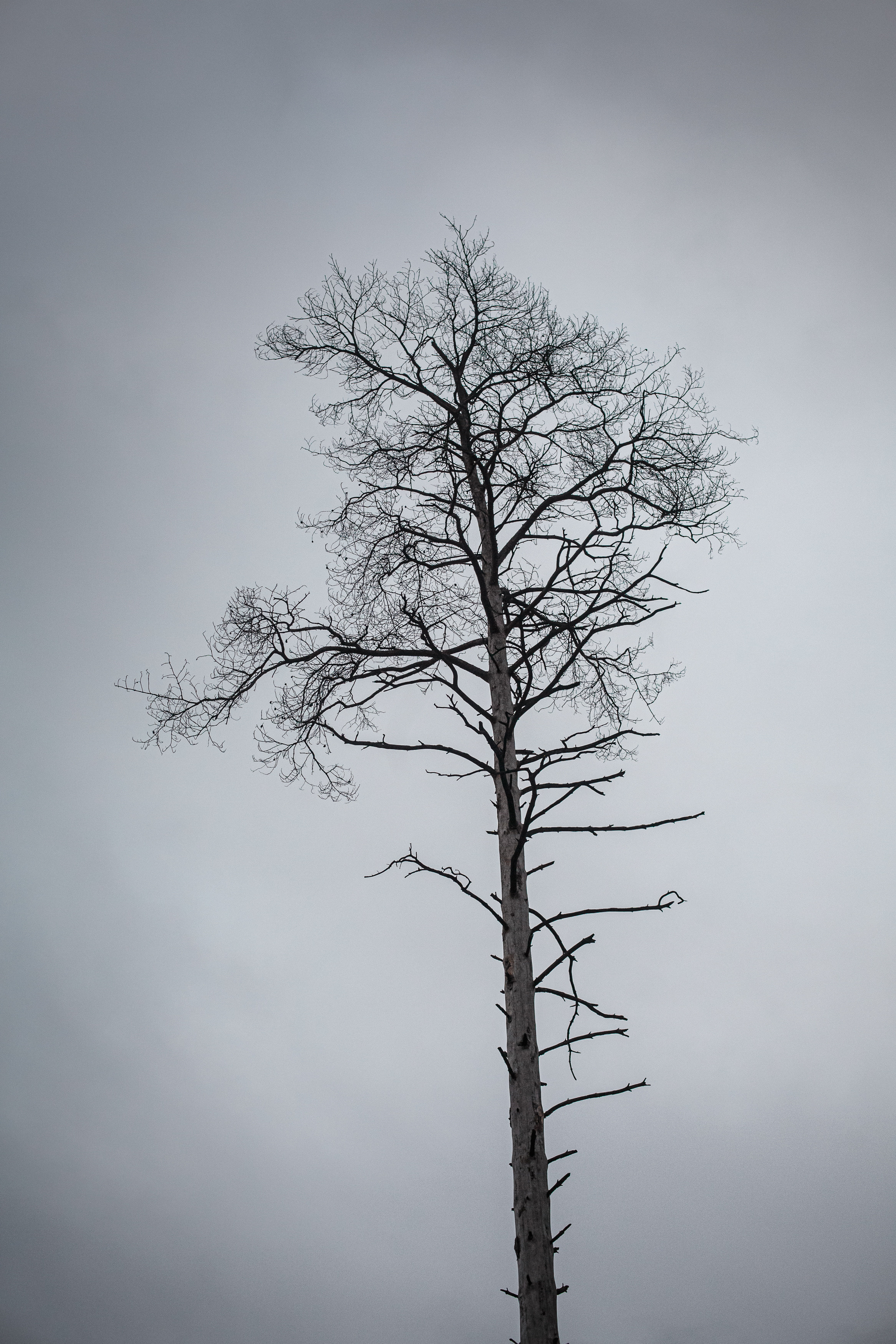 Пейзажи. Свадебный и репортажный фотограф в Москве и Московской области