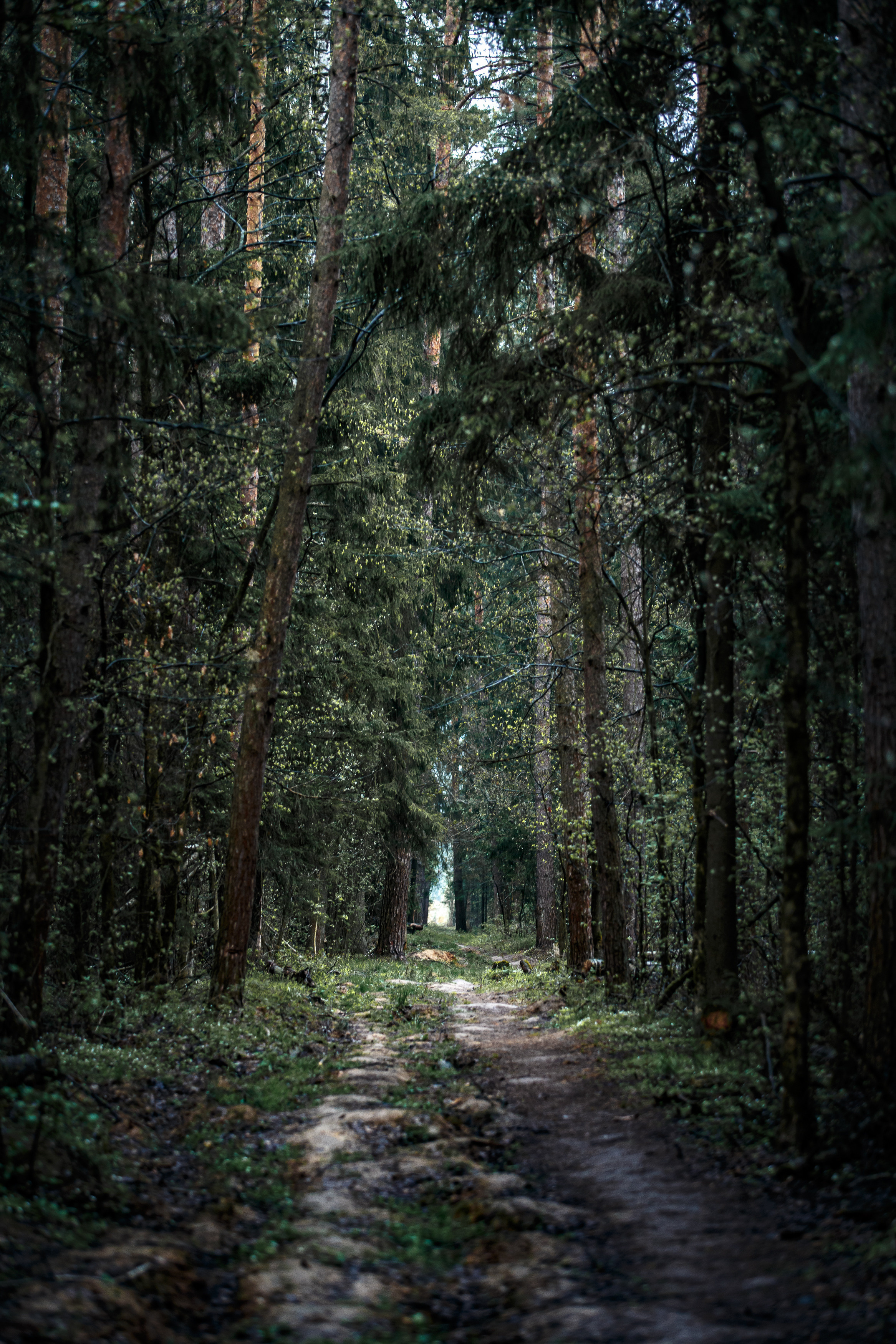 Пейзажи. Свадебный и репортажный фотограф в Москве и Московской области