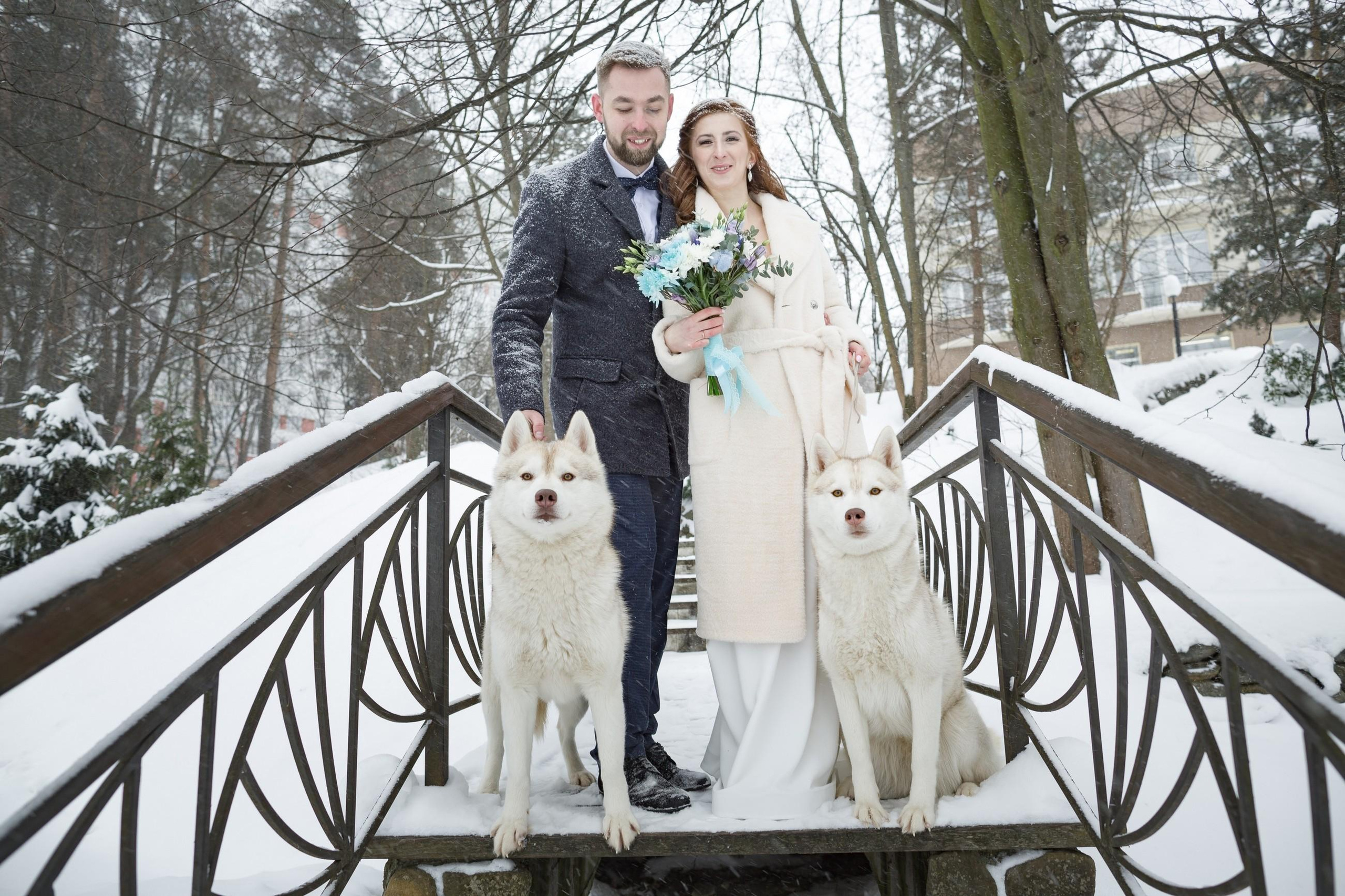 Денис и Елена. Свадебный и репортажный фотограф в Москве и Московской области