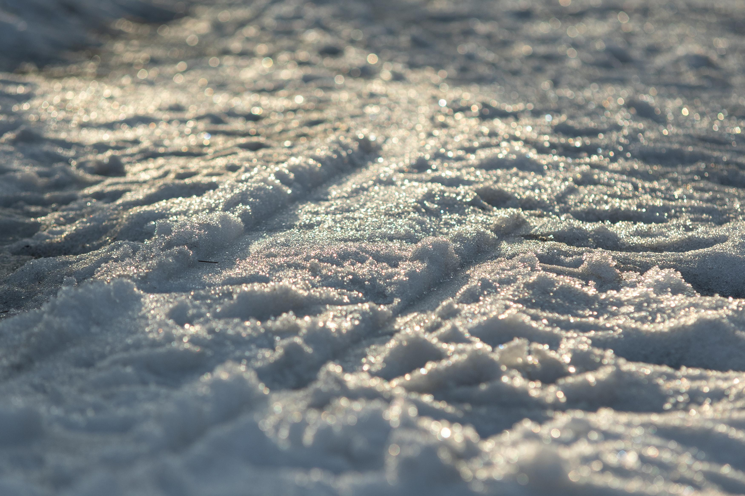 Пейзажи. Свадебный и репортажный фотограф в Москве и Московской области