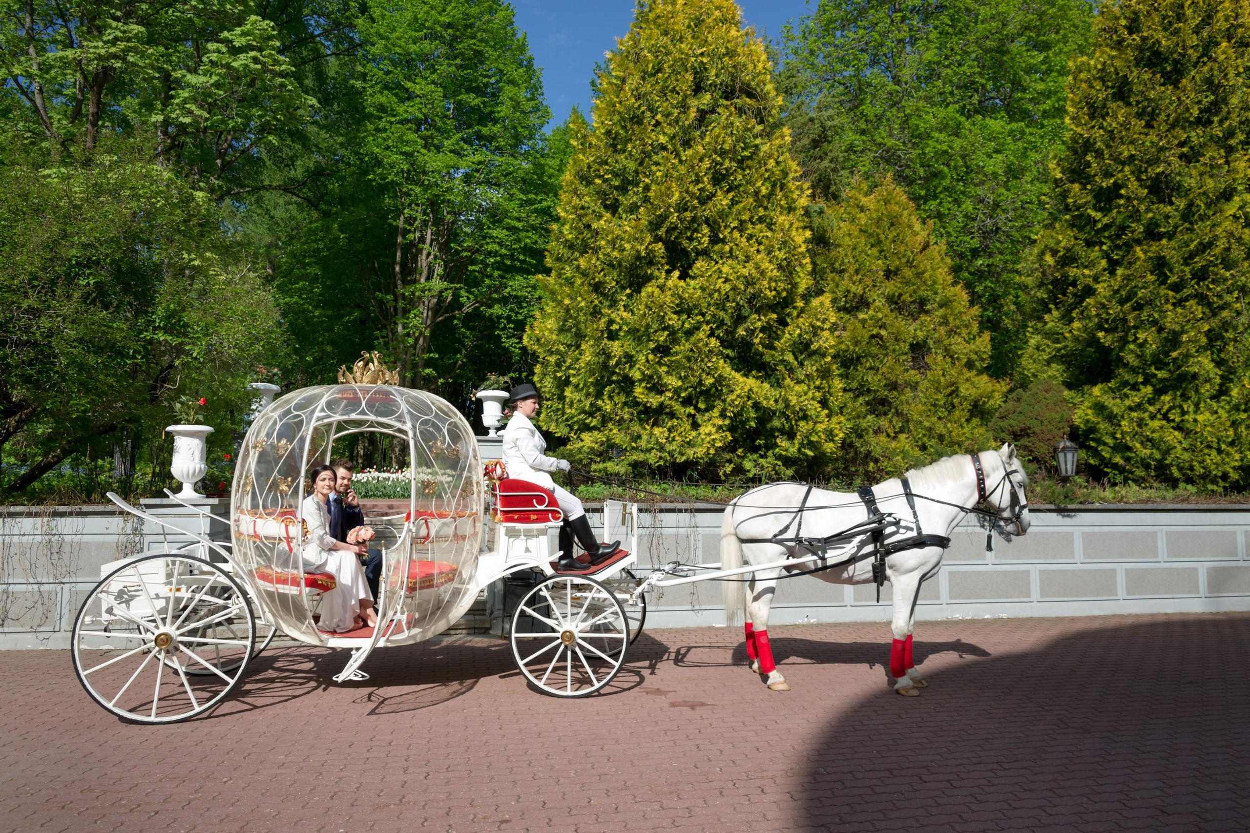 Алексей и Алёна. Свадебный и репортажный фотограф в Москве и Московской области