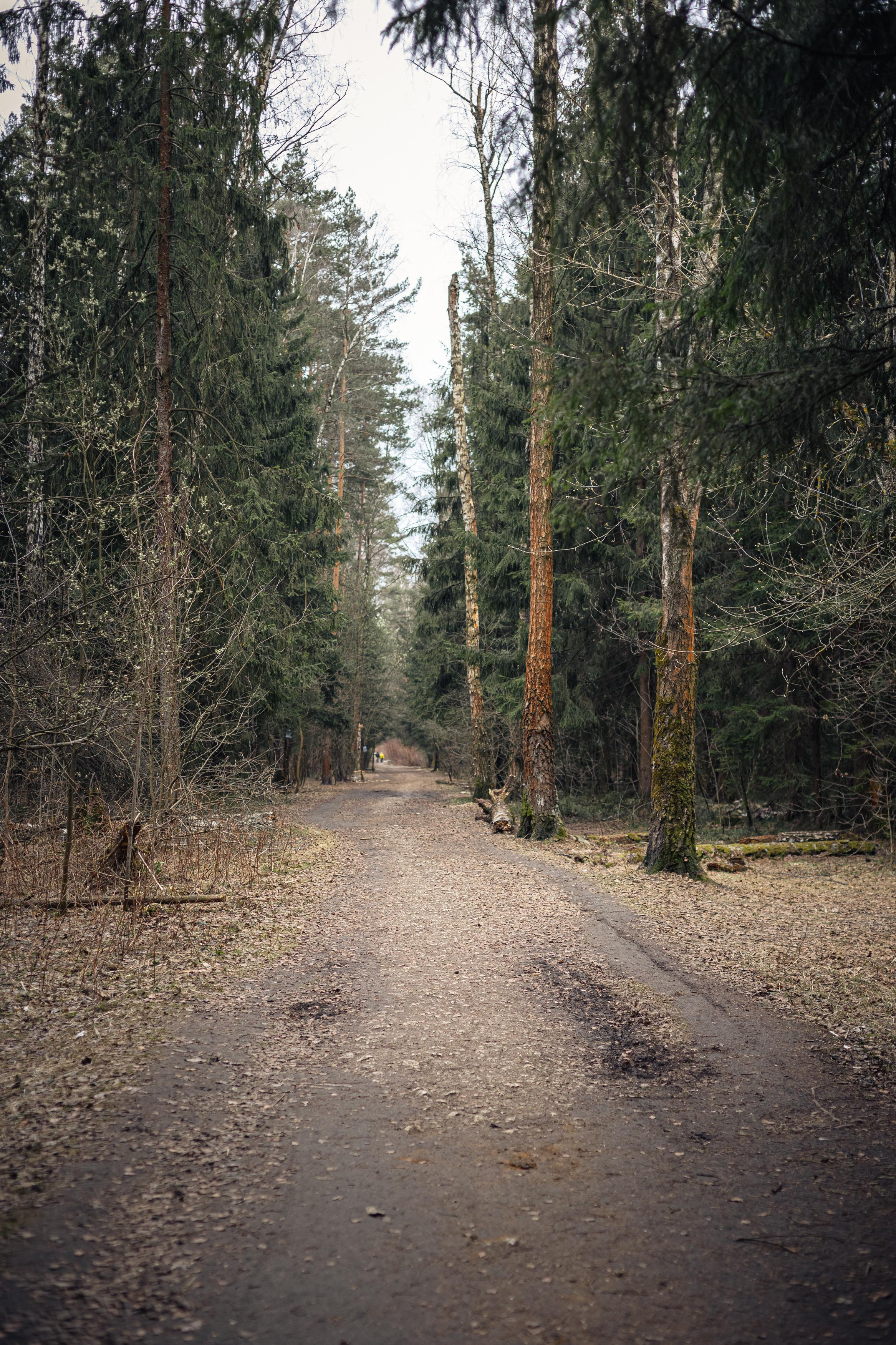 Пейзажи. Свадебный и репортажный фотограф в Москве и Московской области